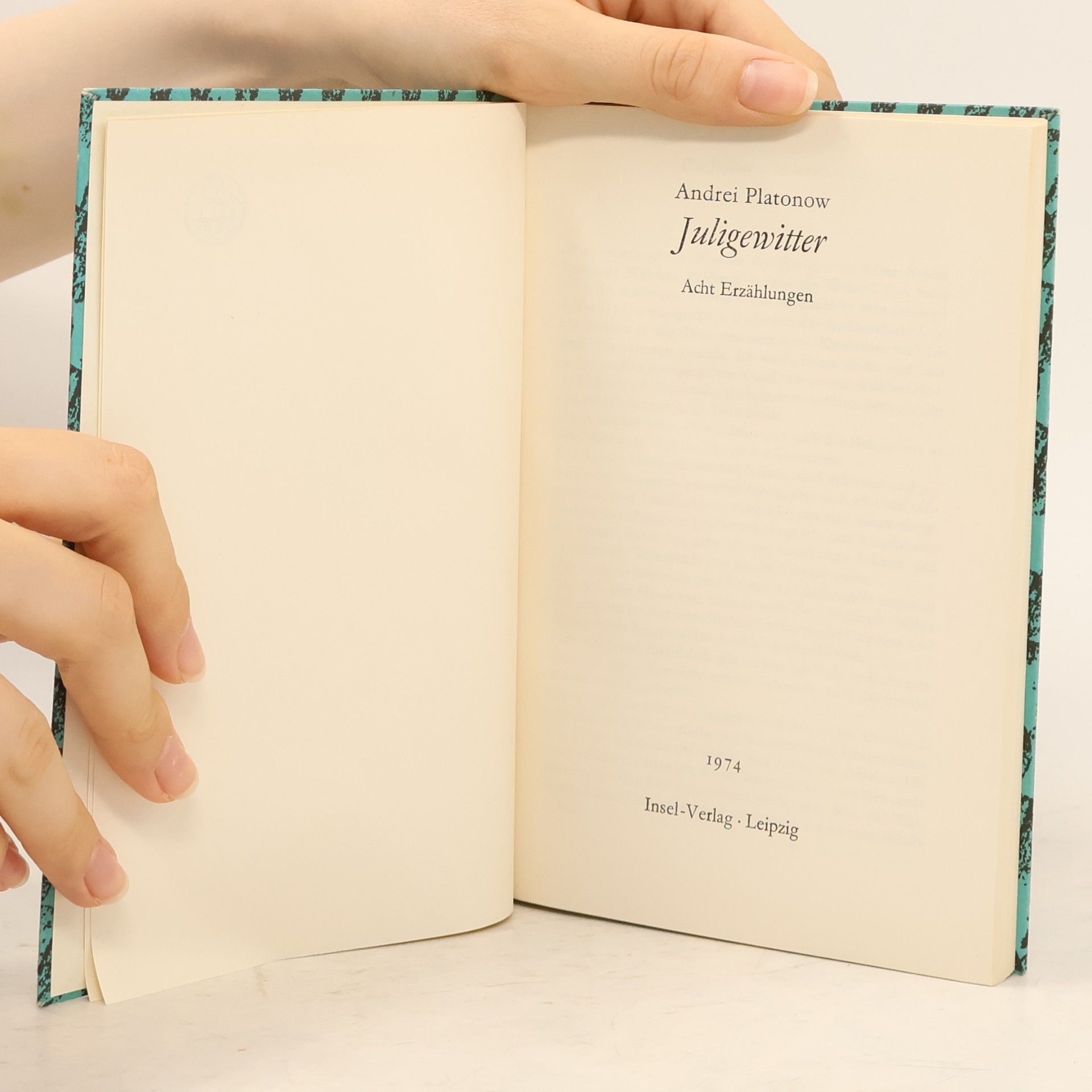 Andrei Platonov Juligewitter