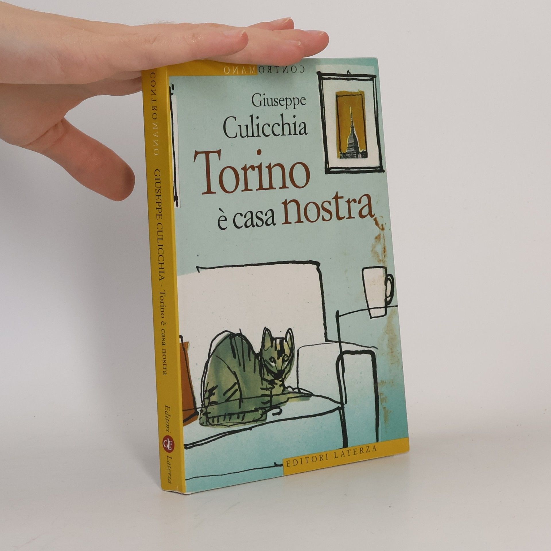 Giuseppe Culicchia Torino è casa nostra