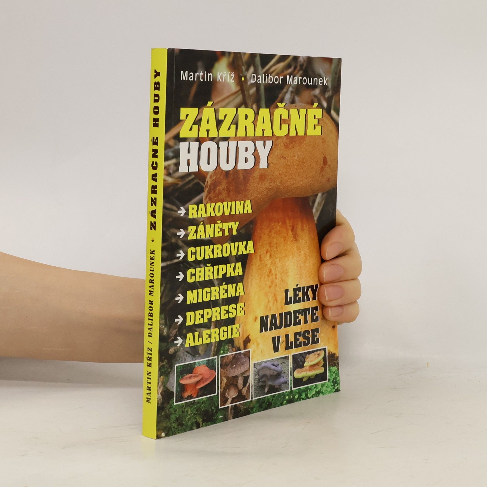 Dalibor Marounek Zázračné houby : rakovina, záněty, cukrovka, chřipka, migréna, deprese, alergie : léky najdete v lese