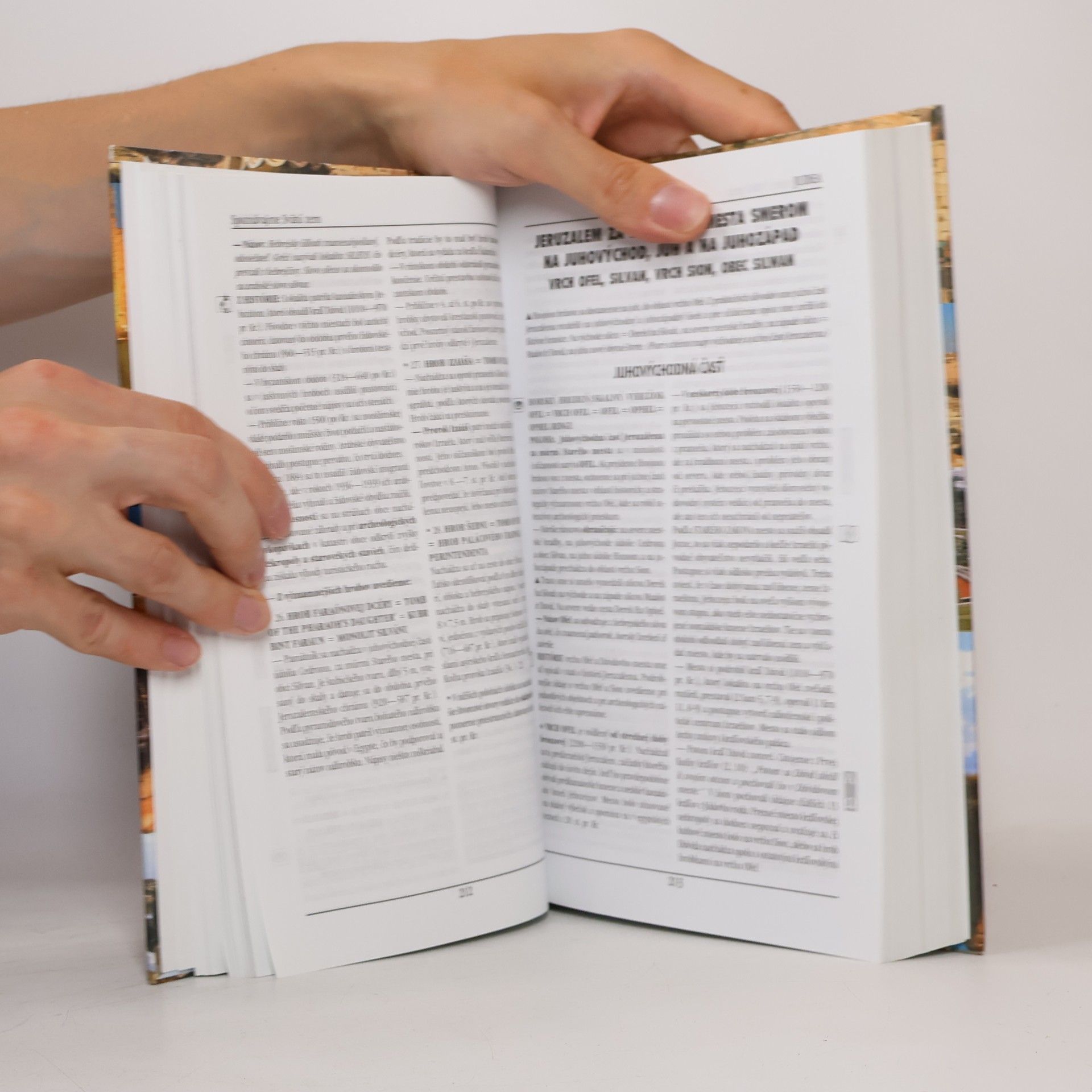 Ján Majerník Spoznávajme Svätú zem pohľadom archeológov a biblistov