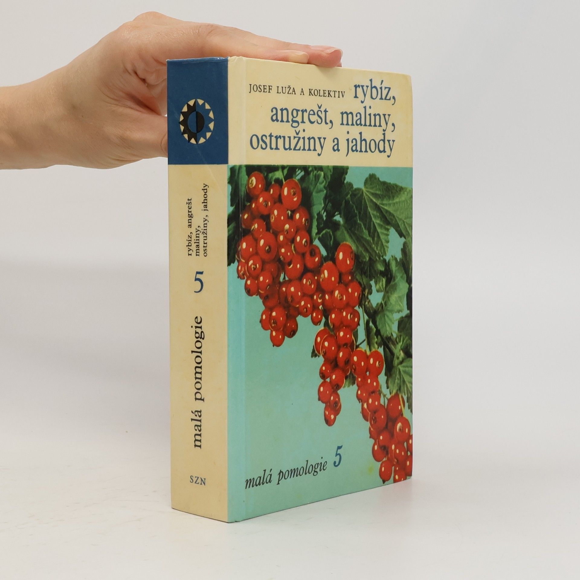 Malá pomologie 5. Rybíz, angrešt, maliny, ostružiny a jahody
