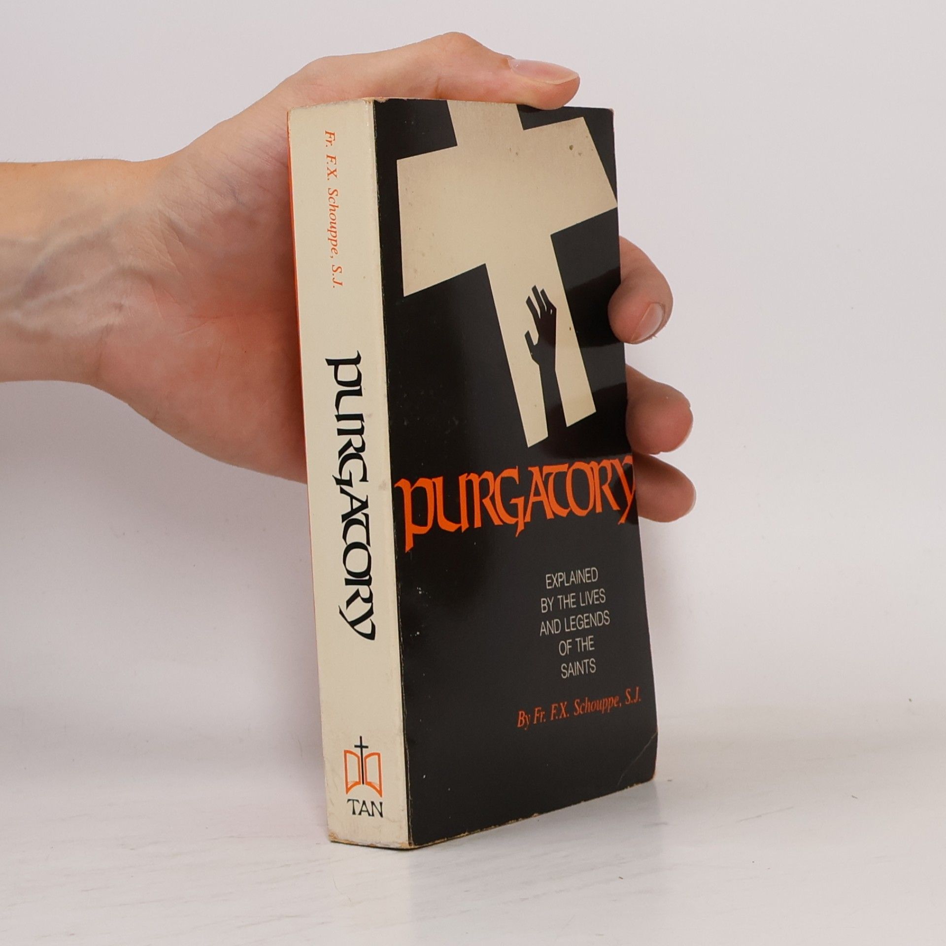 François-Xavier Schouppe Purgatory