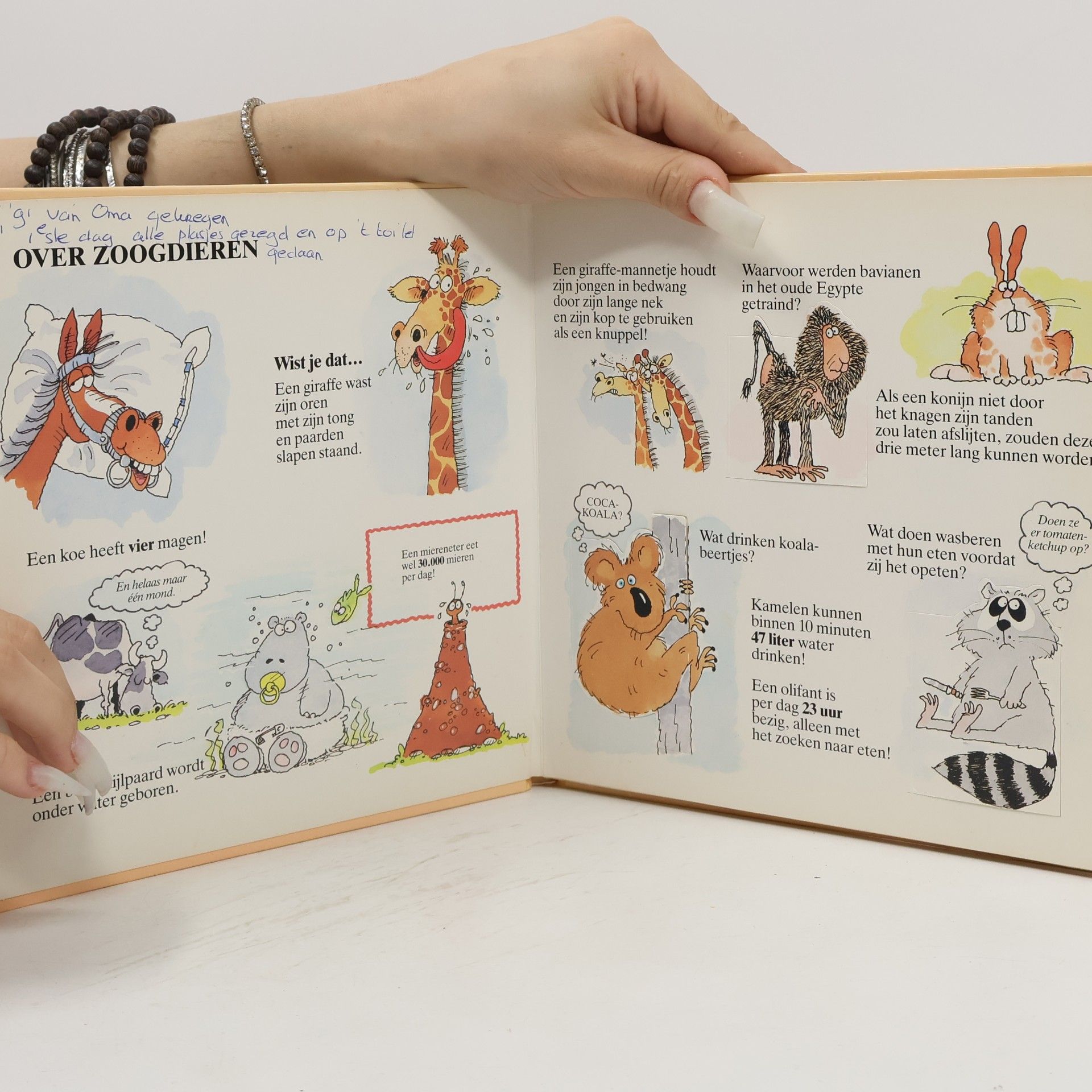 Sue Cassin Over dieren