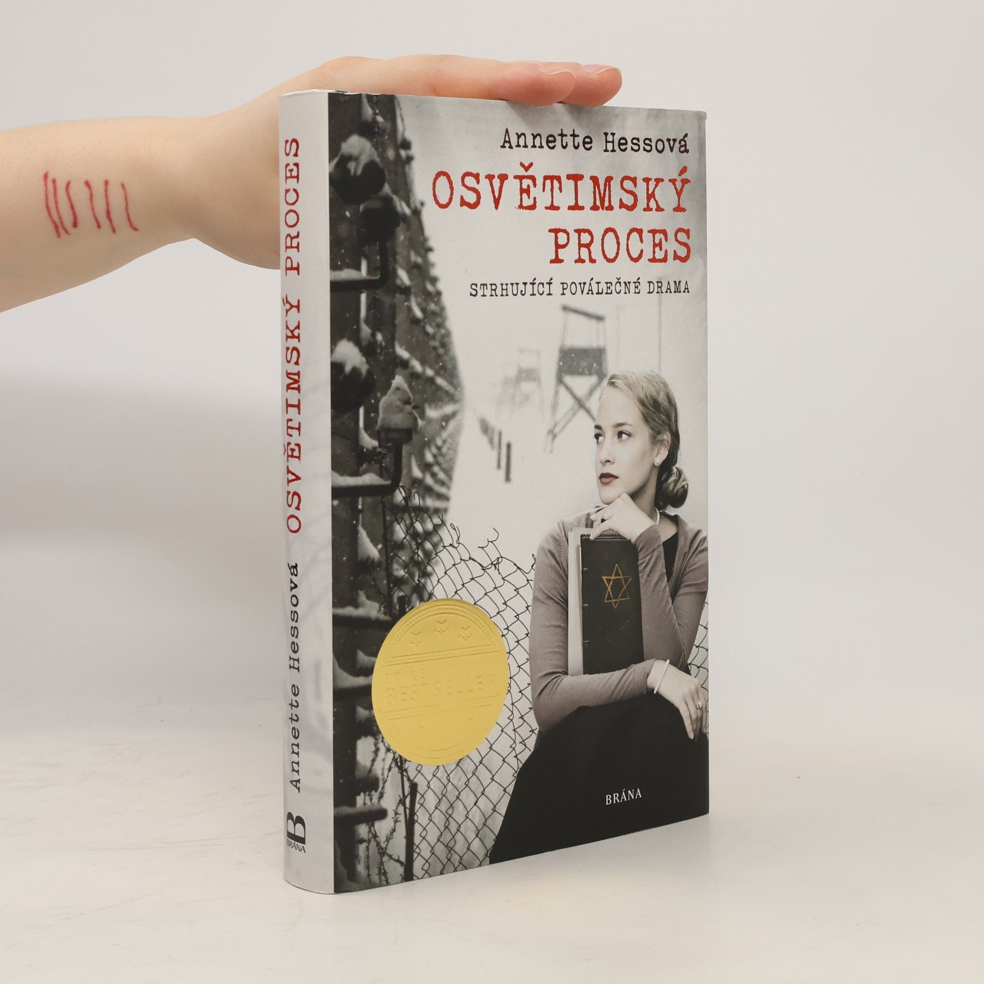 Annette Hess Osvětimský proces