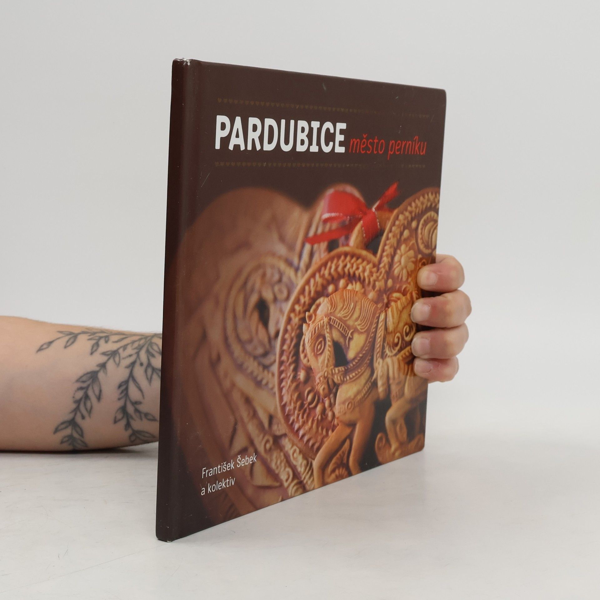 Pardubice, město perníku