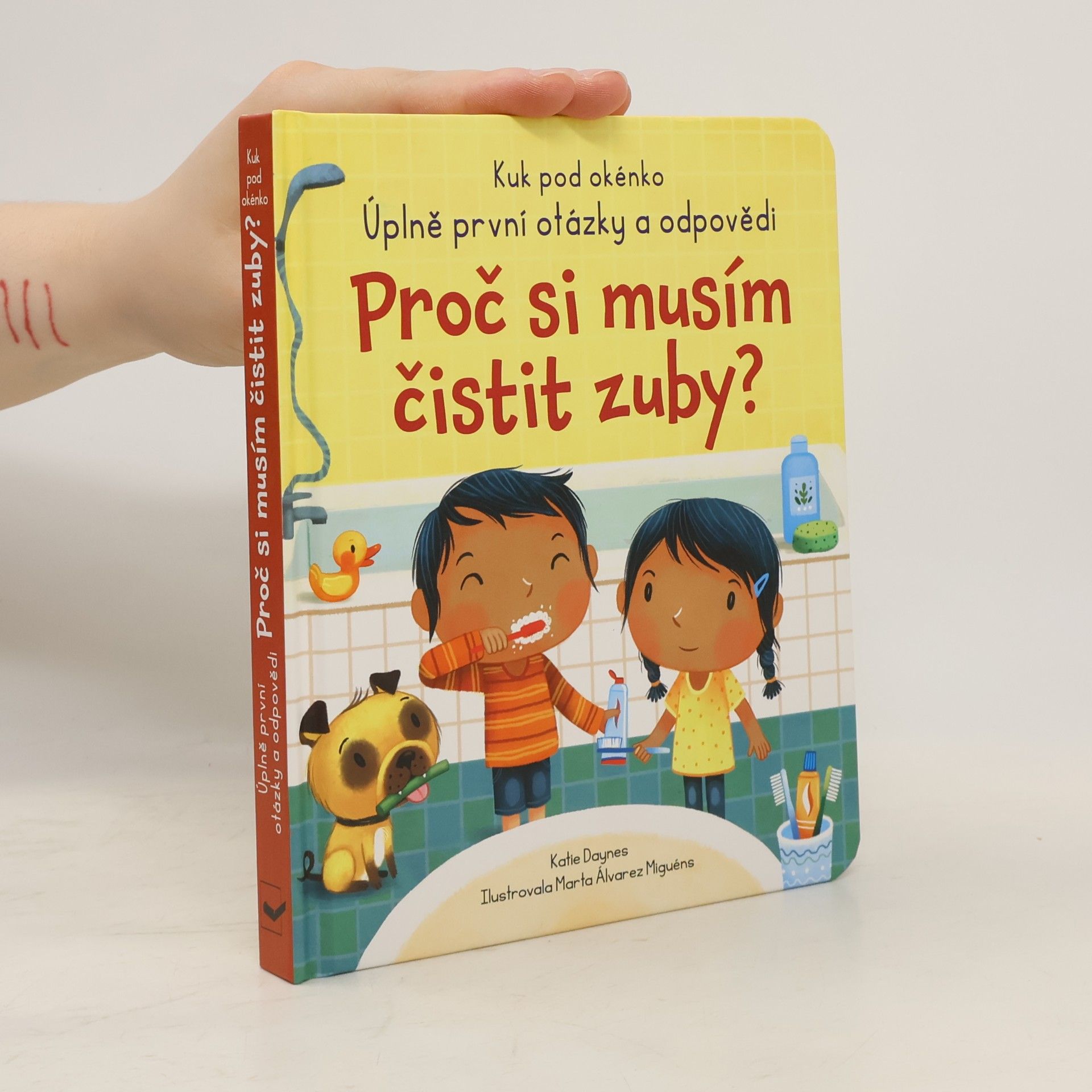 Katie Daynes Proč si musím čistit zuby?