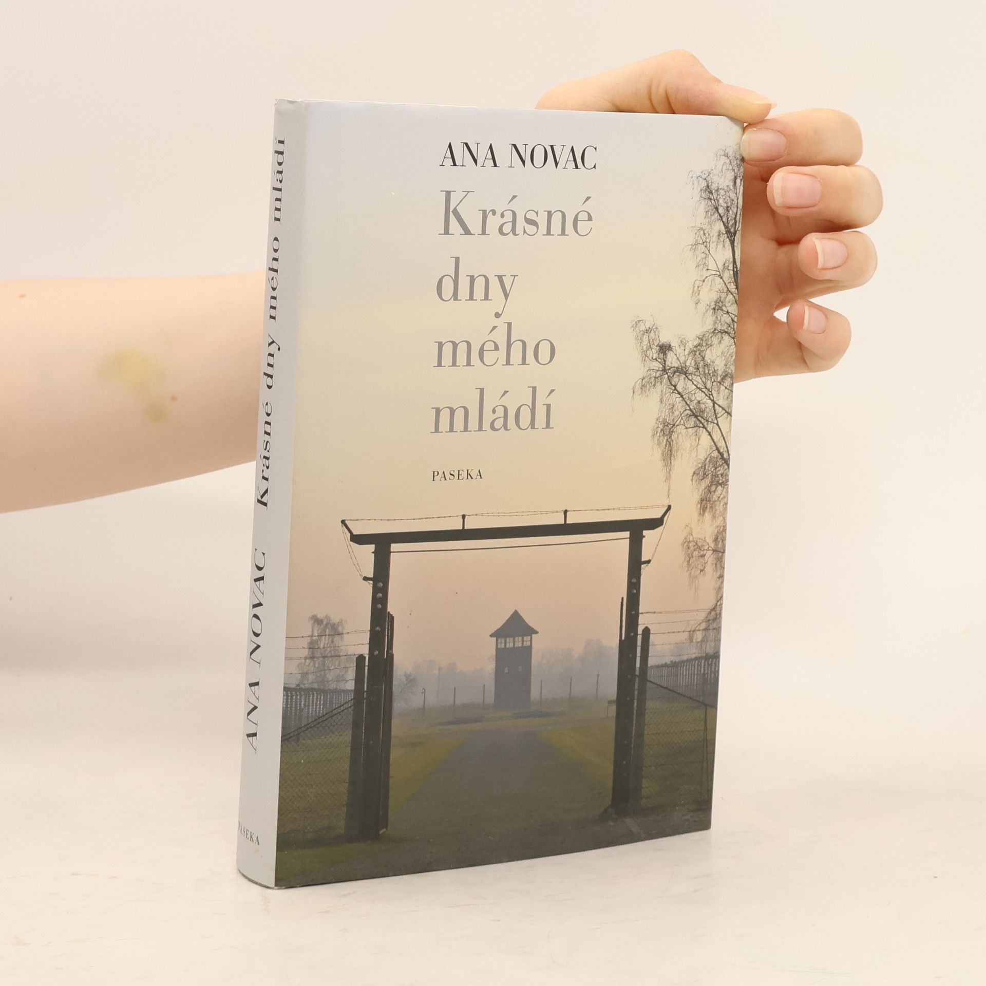 Ana Novac Krásné dny mého mládí