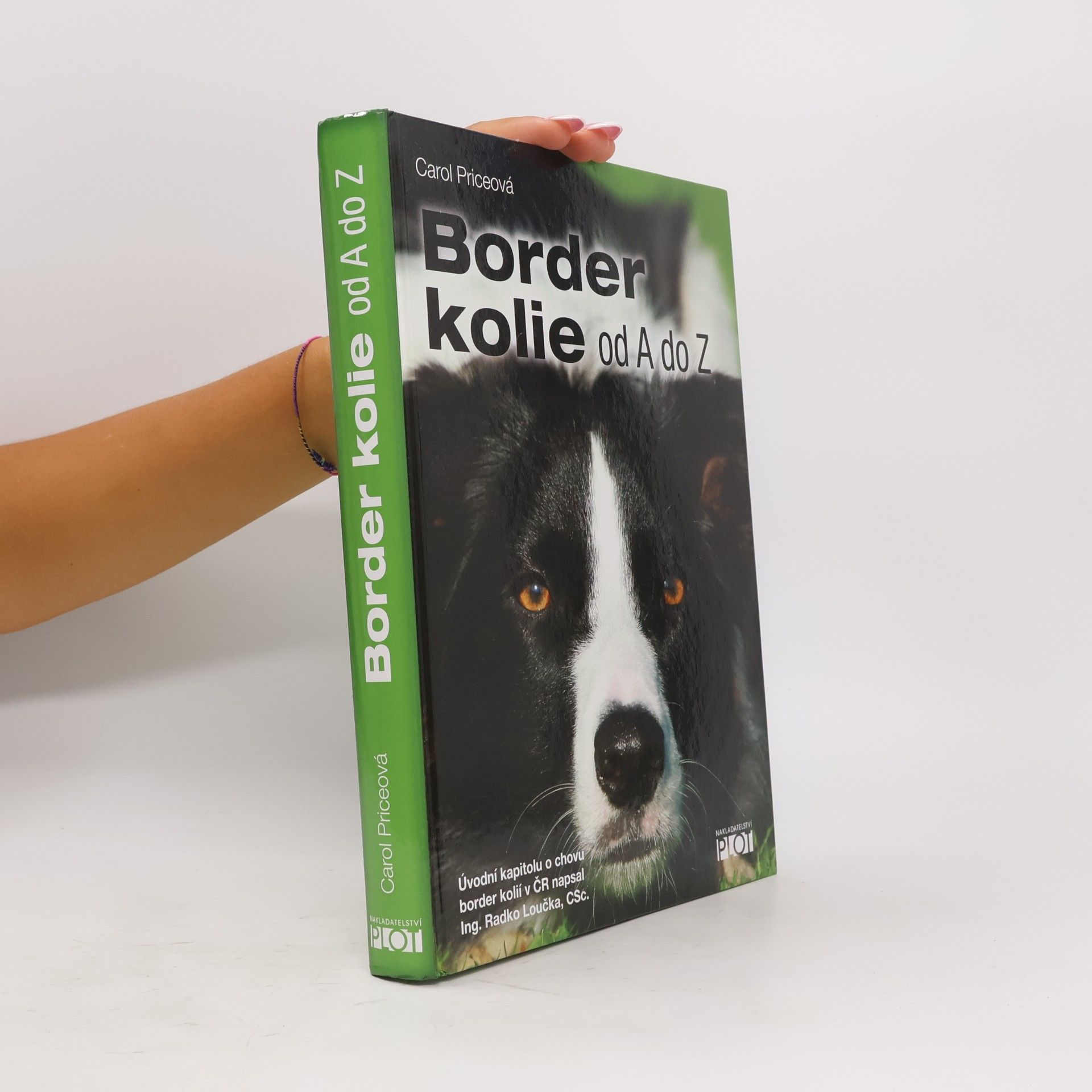 Carol Price Border kolie od A do Z