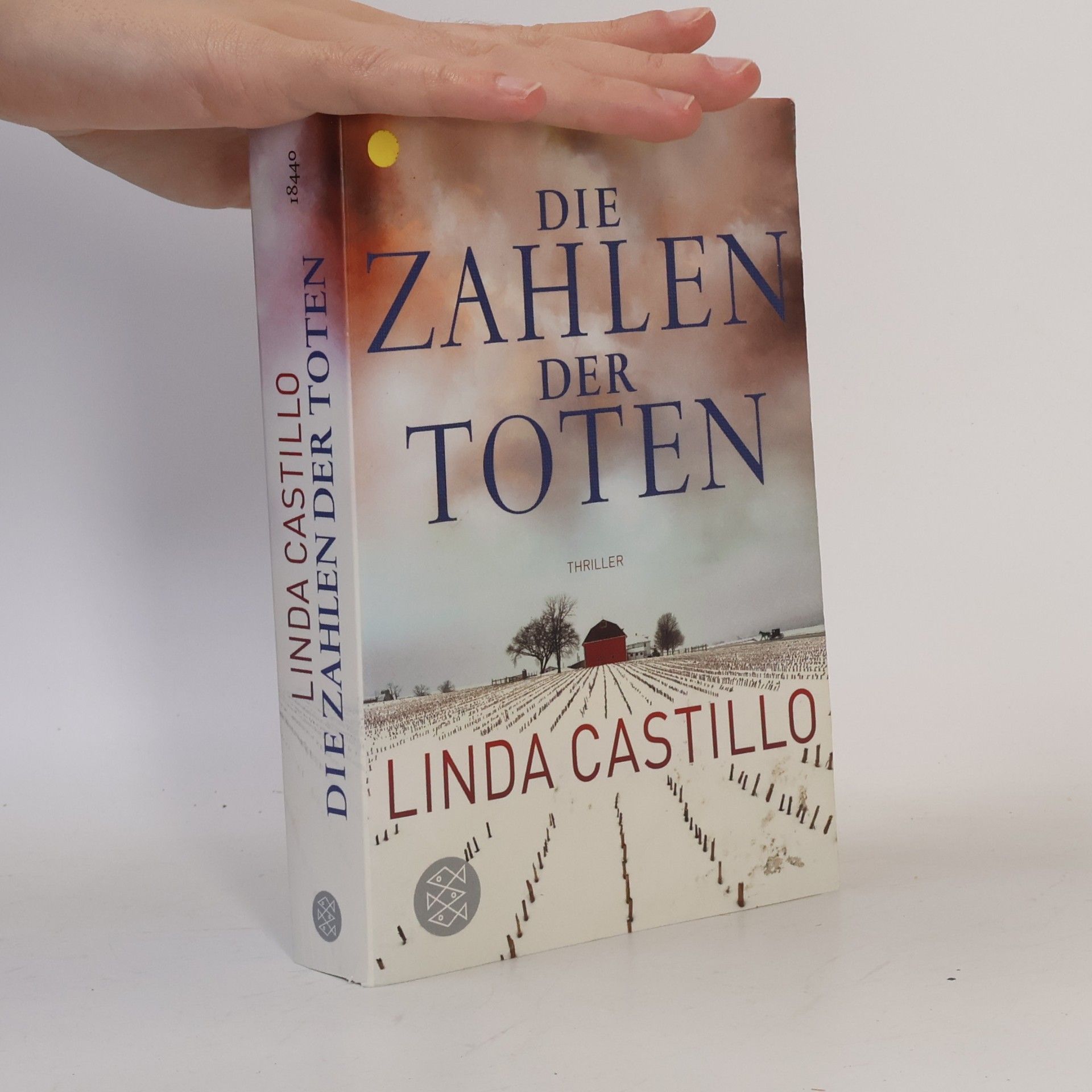 Linda Castillo Die Zahlen der Toten