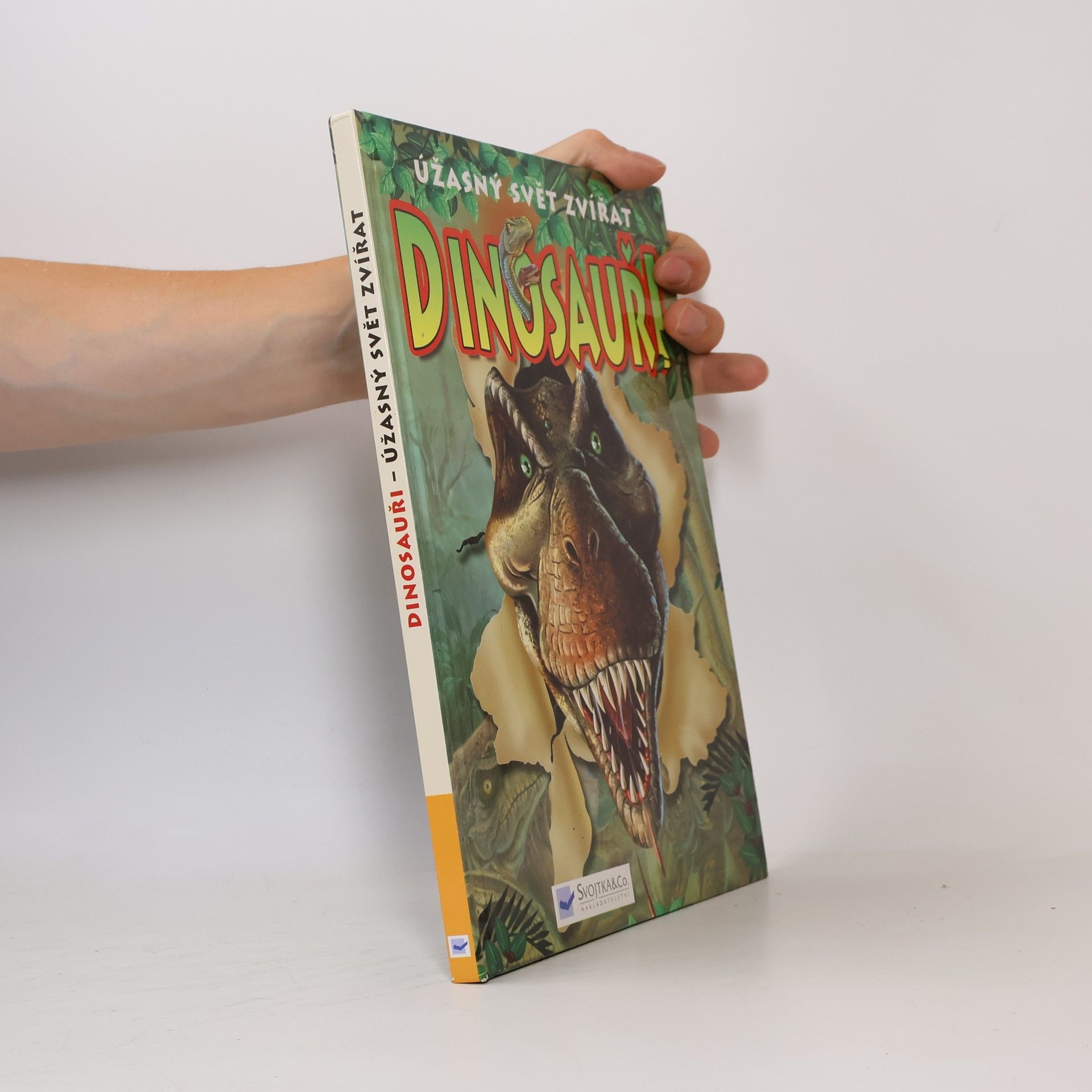 Martin Hrubeš Dinosauři : úžasný svět zvířat