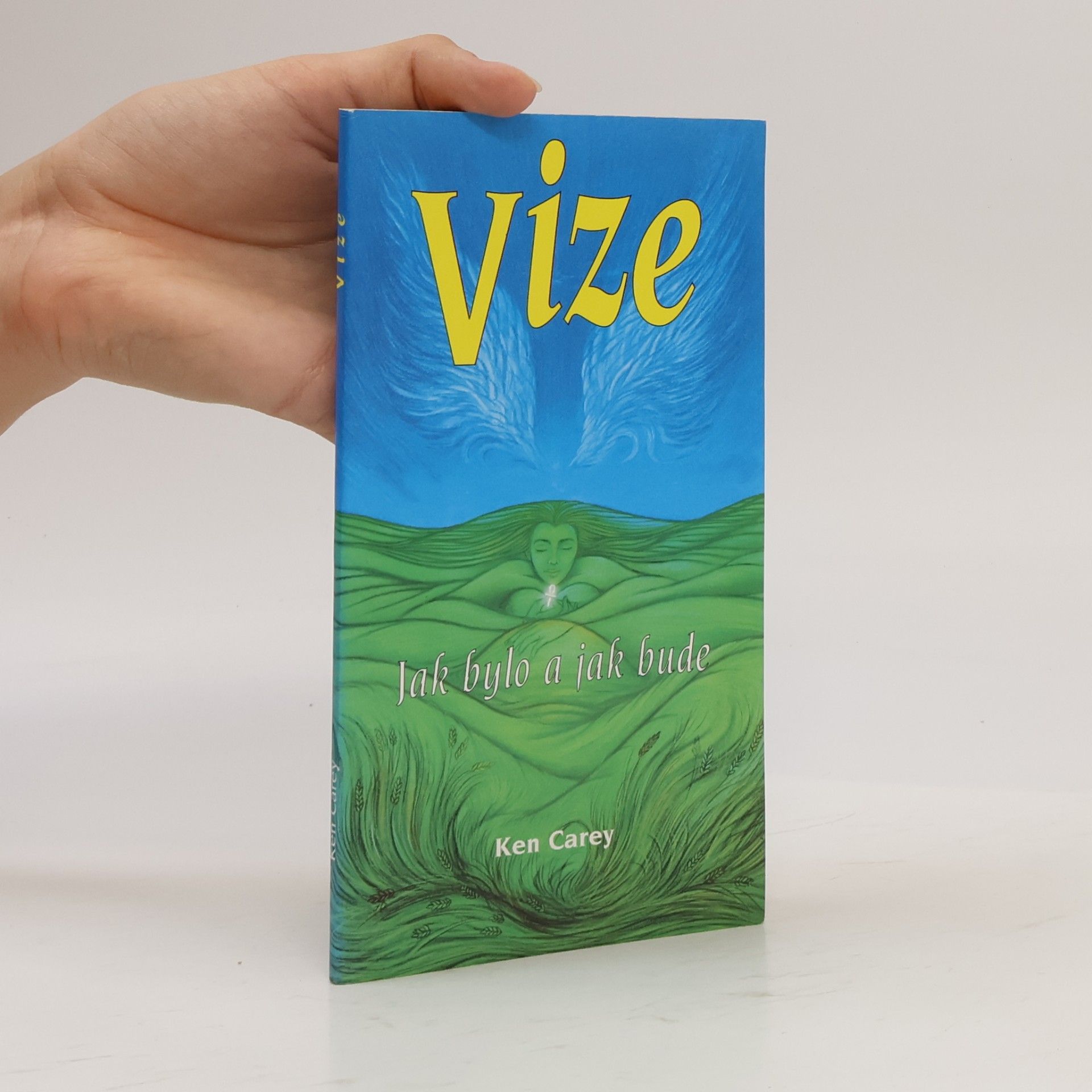 Ken Carey Vize : jak bylo a jak bude