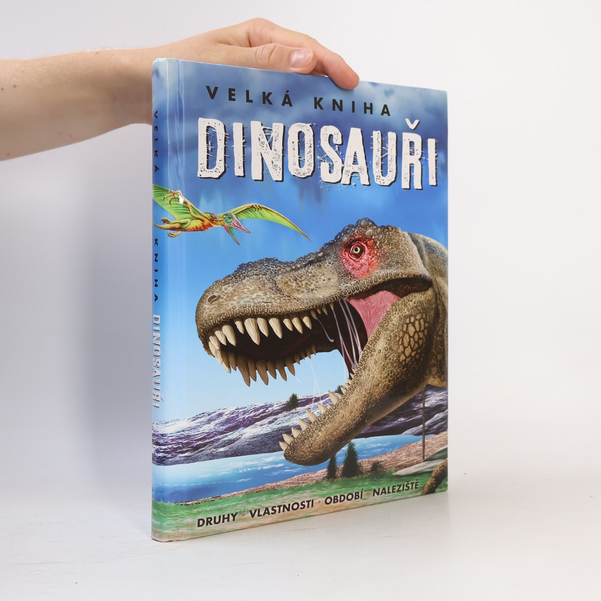 Collectif d'auteurs Velká kniha. Dinosauři