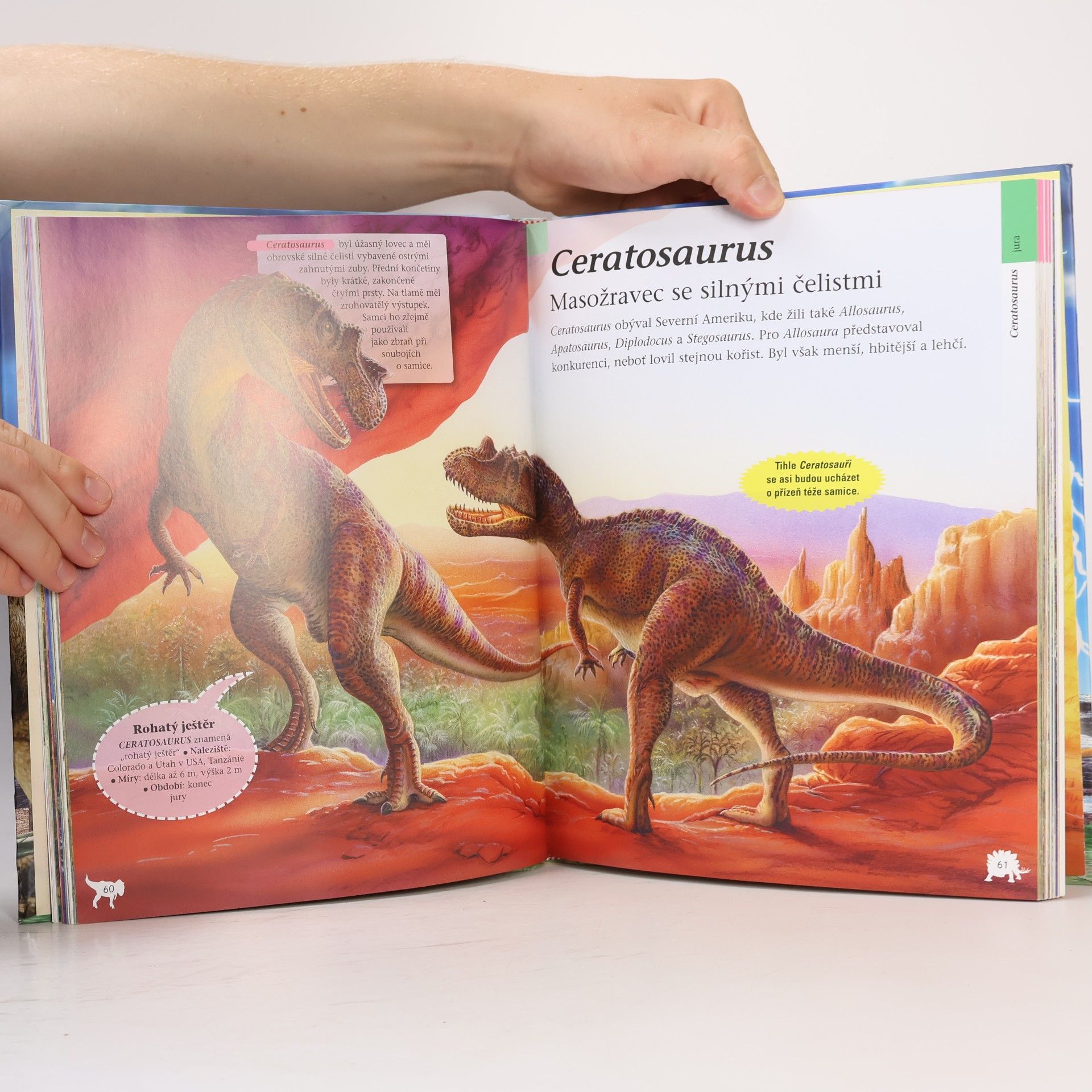 Collectif d'auteurs Velká kniha. Dinosauři