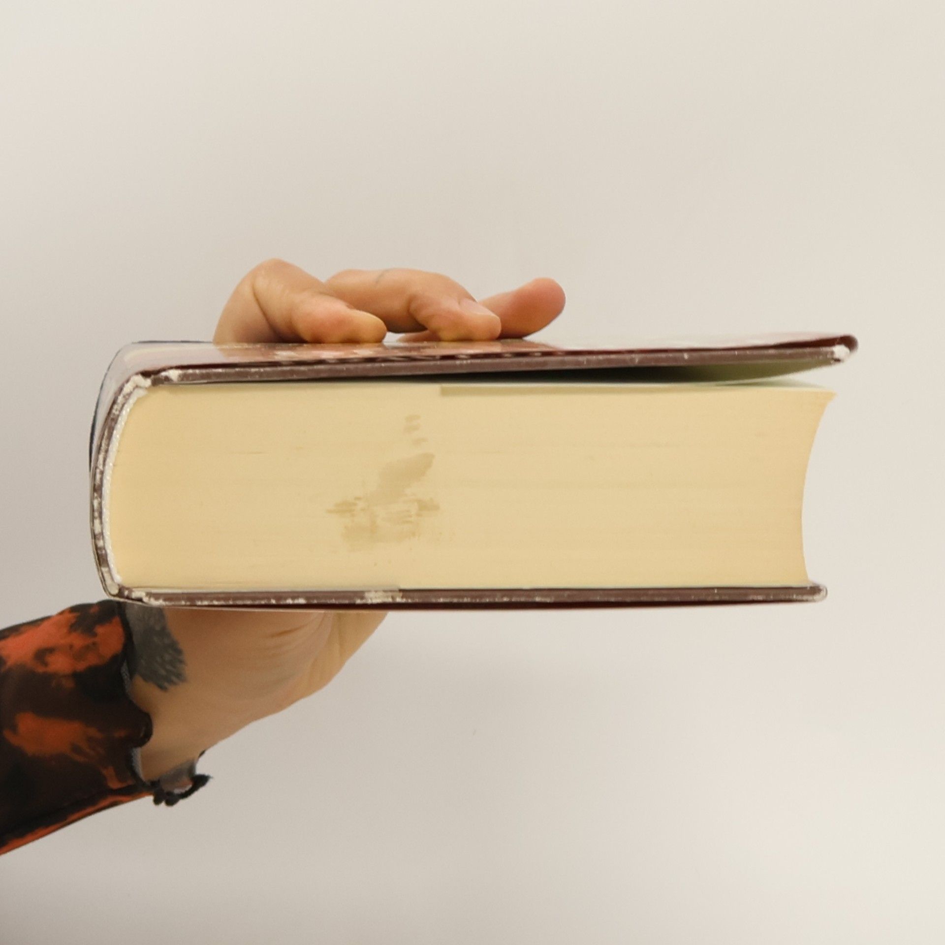 Wilbur Smith Běsnící spravedlnost