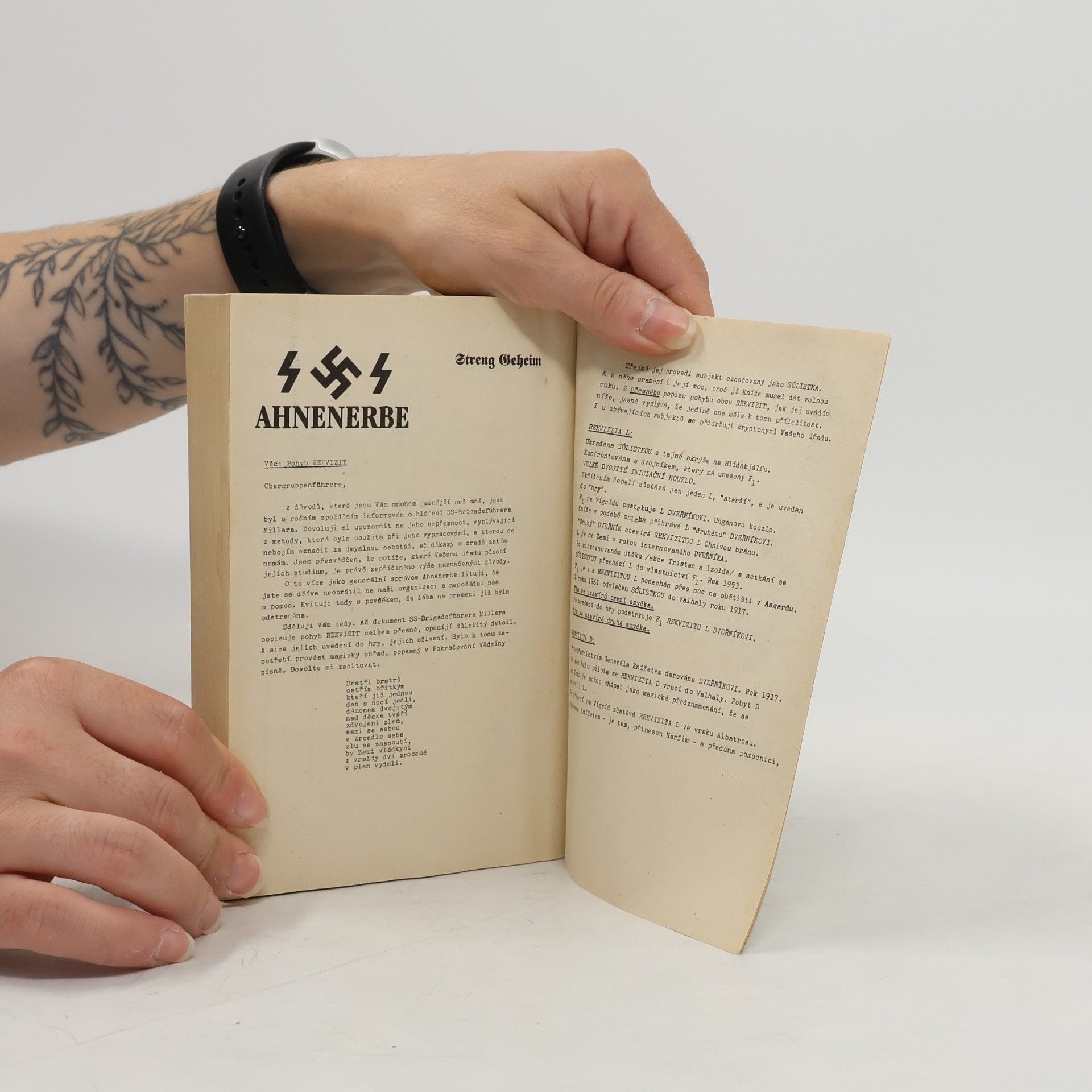 František N. Skipper Dlouhý den Valhaly