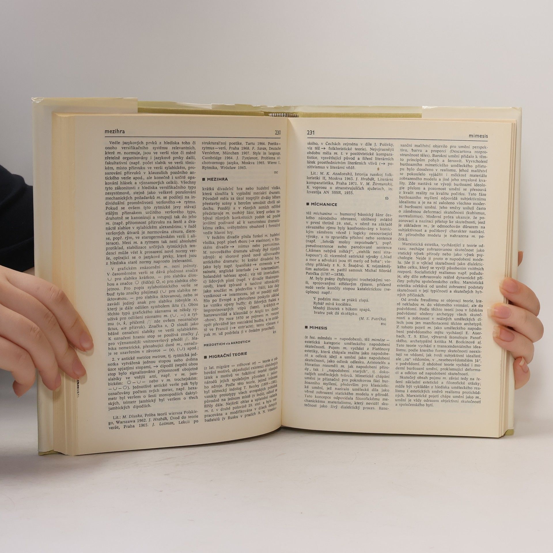 Štěpán Vlašín Slovník literární teorie