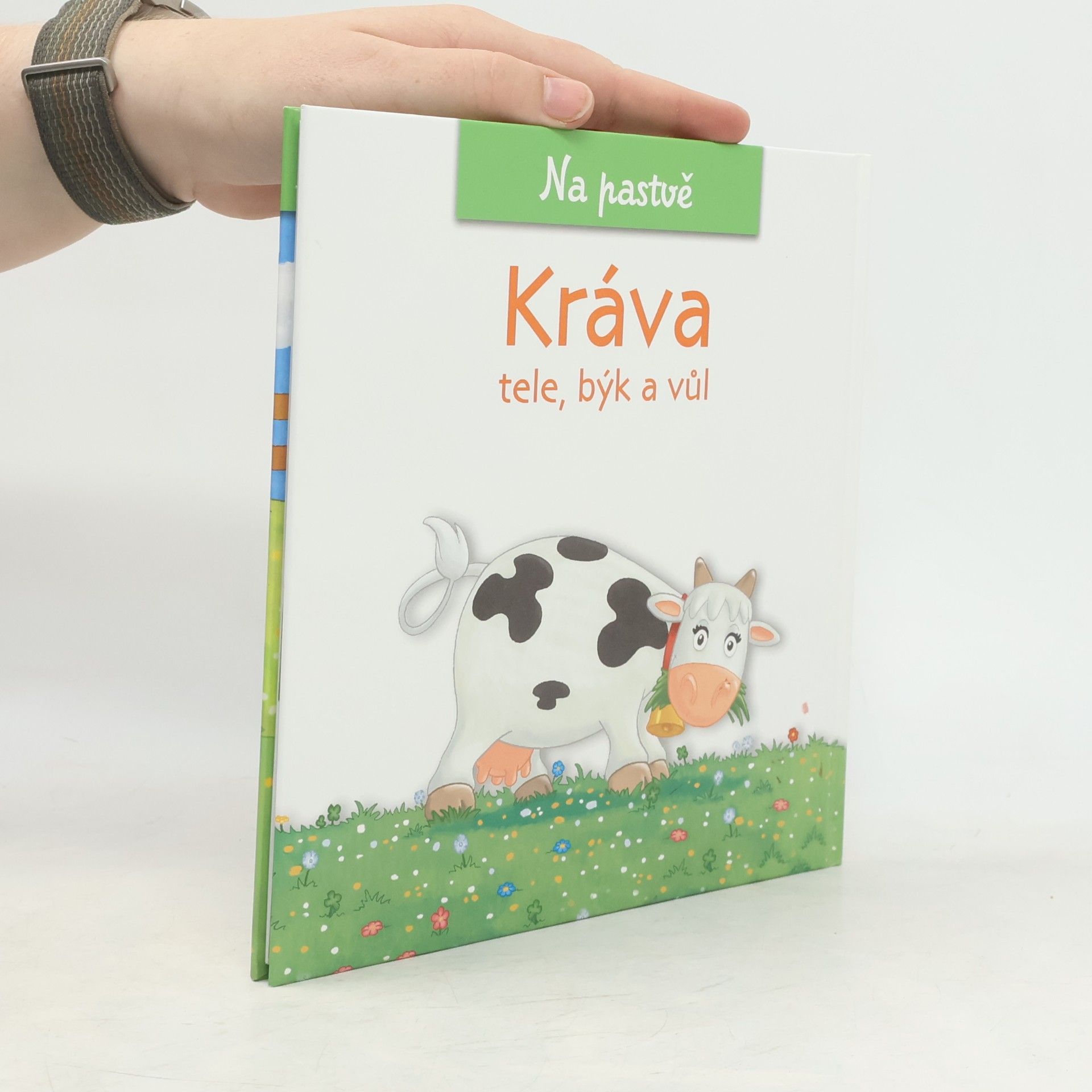 Christine Serbource Kráva, tele, býk a vůl