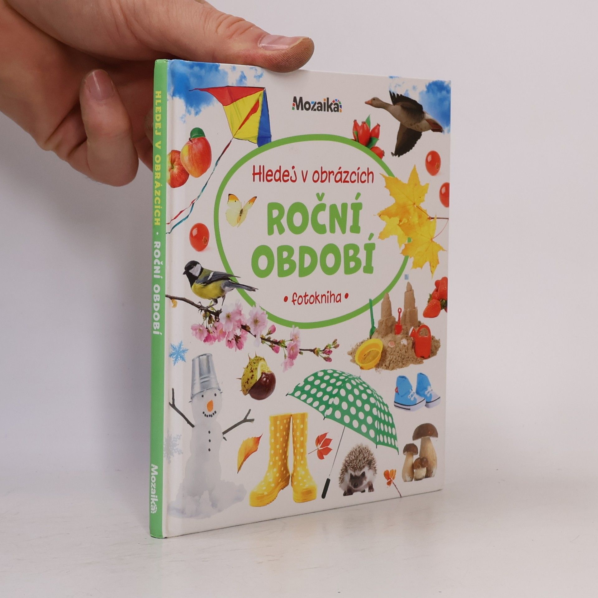 Autores varios Roční období : fotokniha