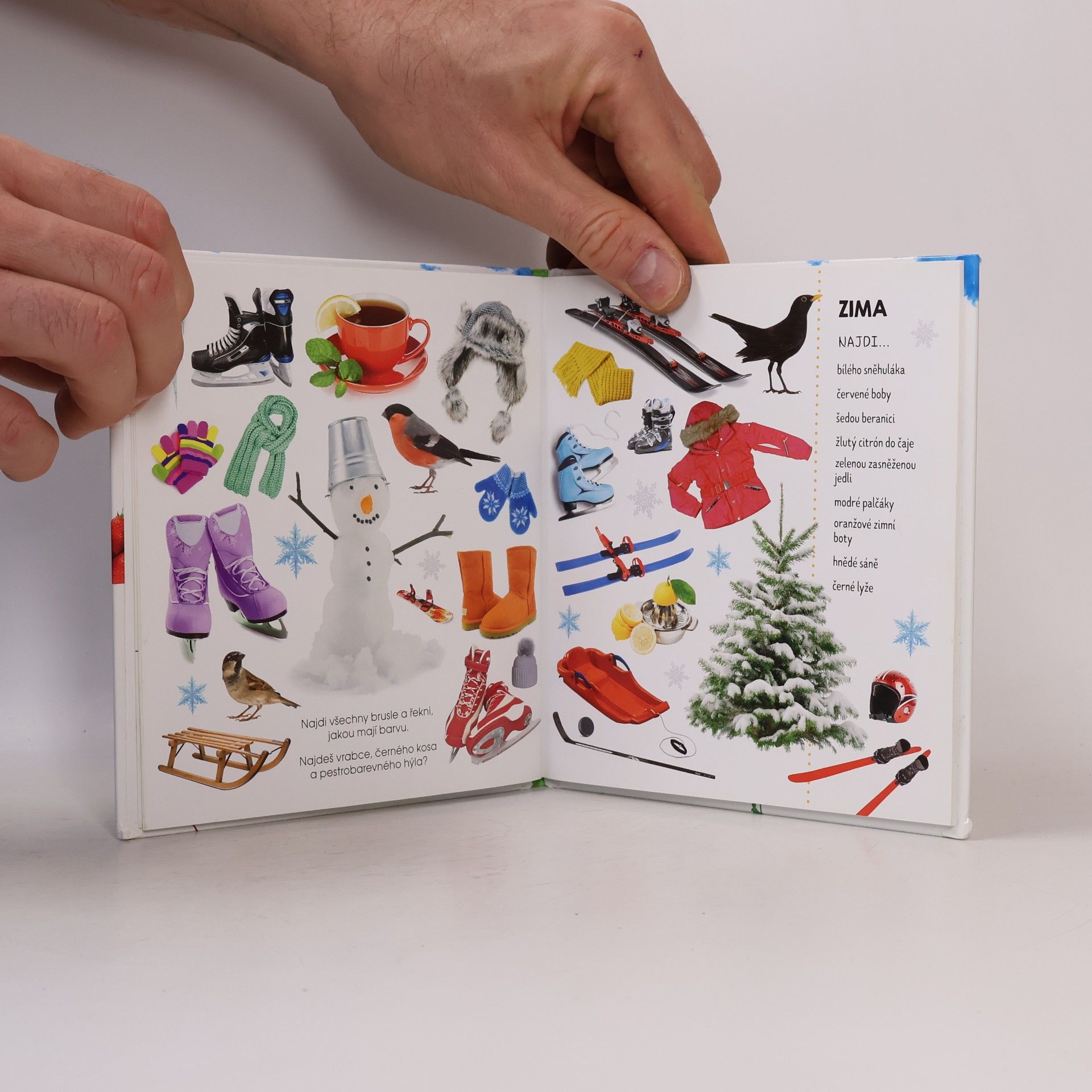 Kolektiv autorů Roční období : fotokniha
