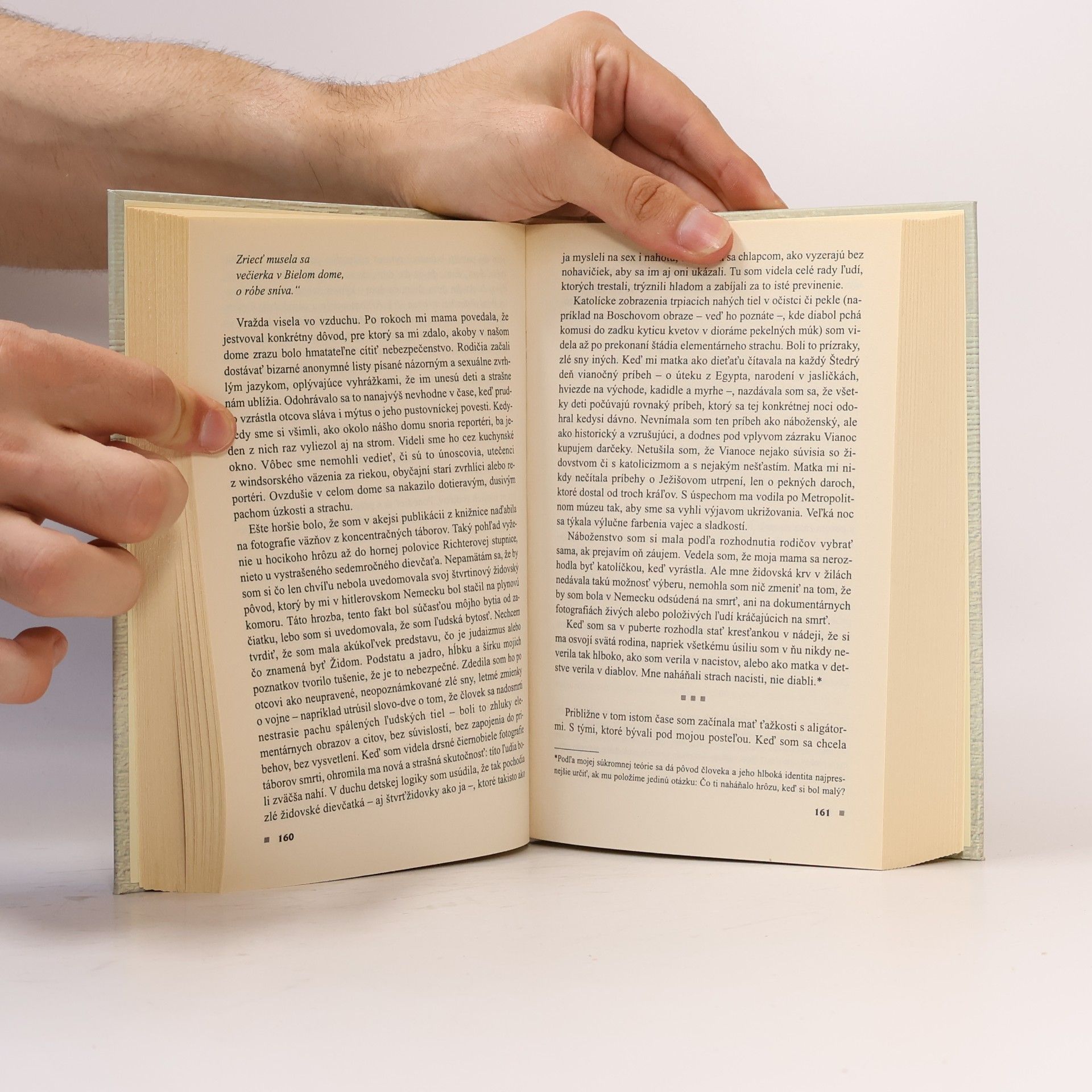 Margaret Ann Salinger Kto chytá v sne