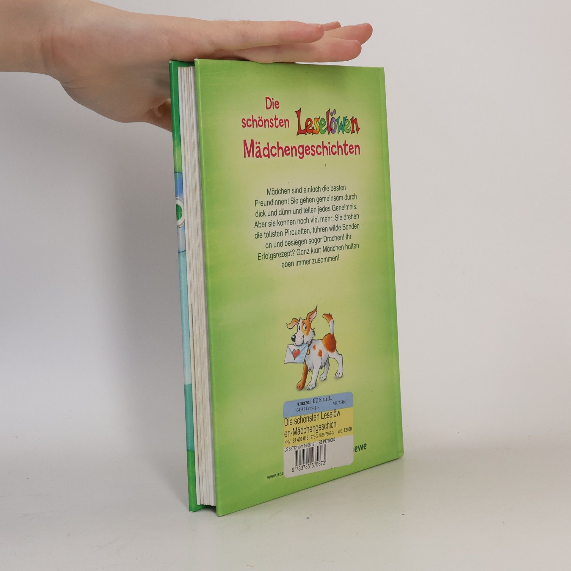 Kolektiv autorů Die schönsten Leselöwen-Mädchengeschichten