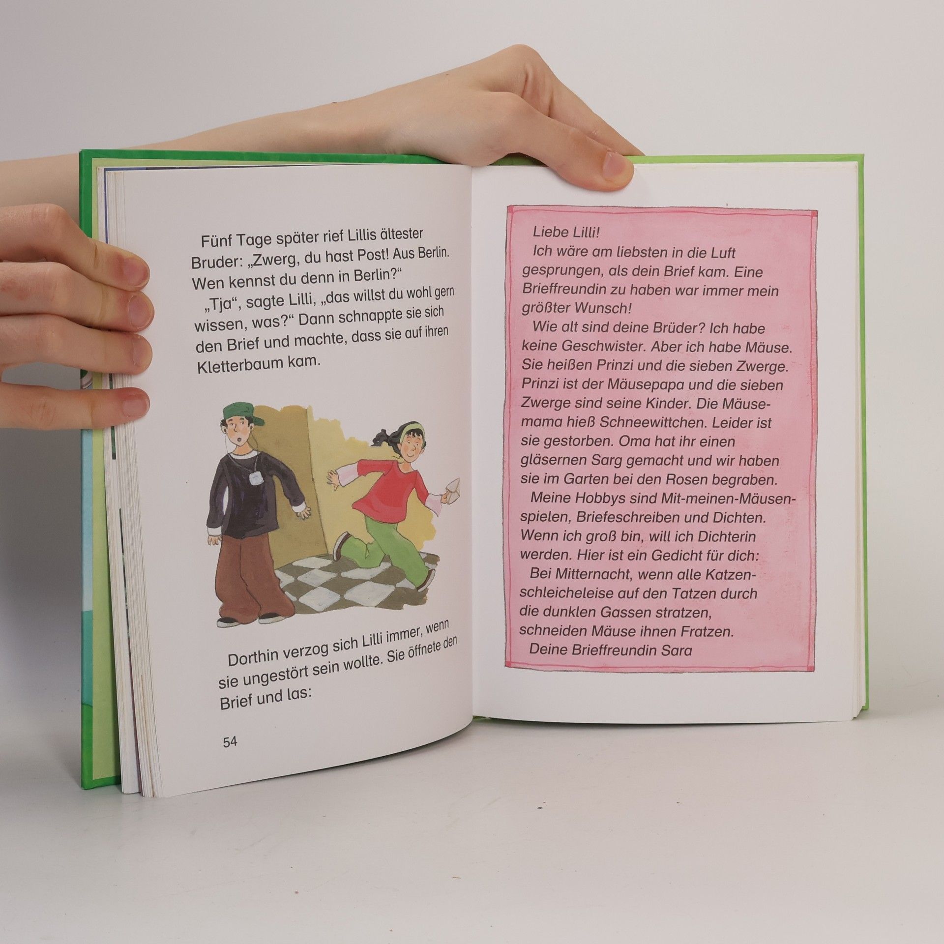 Kolektiv autorů Die schönsten Leselöwen-Mädchengeschichten
