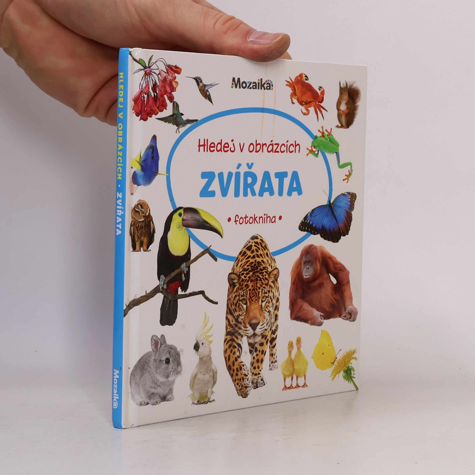 Auteurscollectief Hledej v obrázcích: Zvířata (fotokniha)