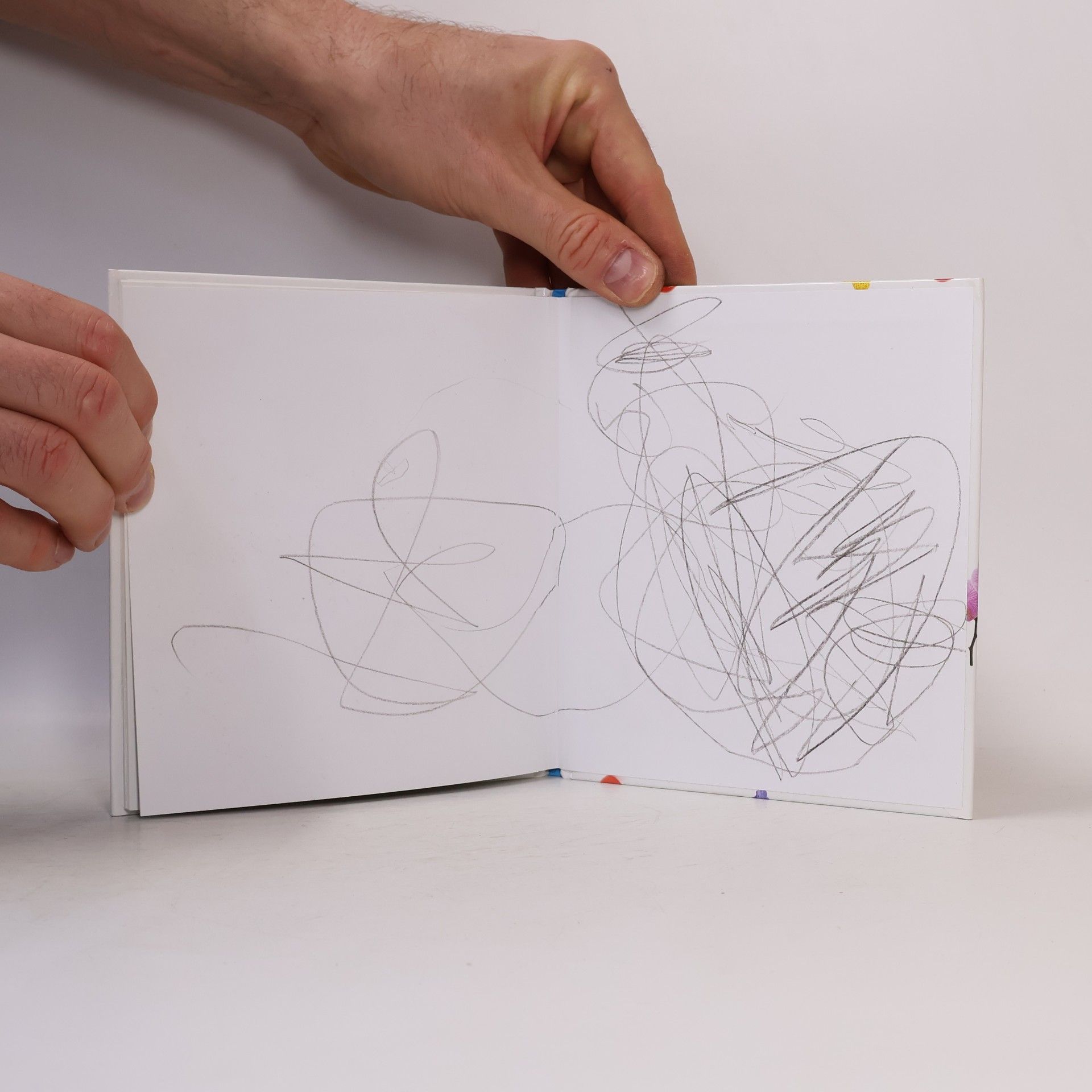 Auteurscollectief Hledej v obrázcích: Zvířata (fotokniha)