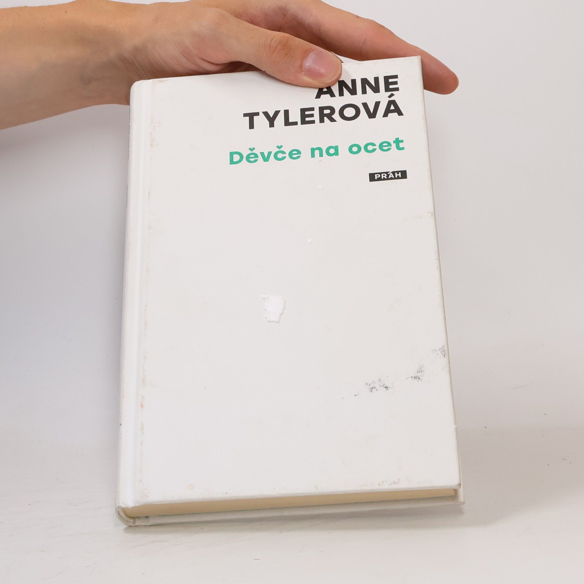 Anne Tyler Děvče na ocet