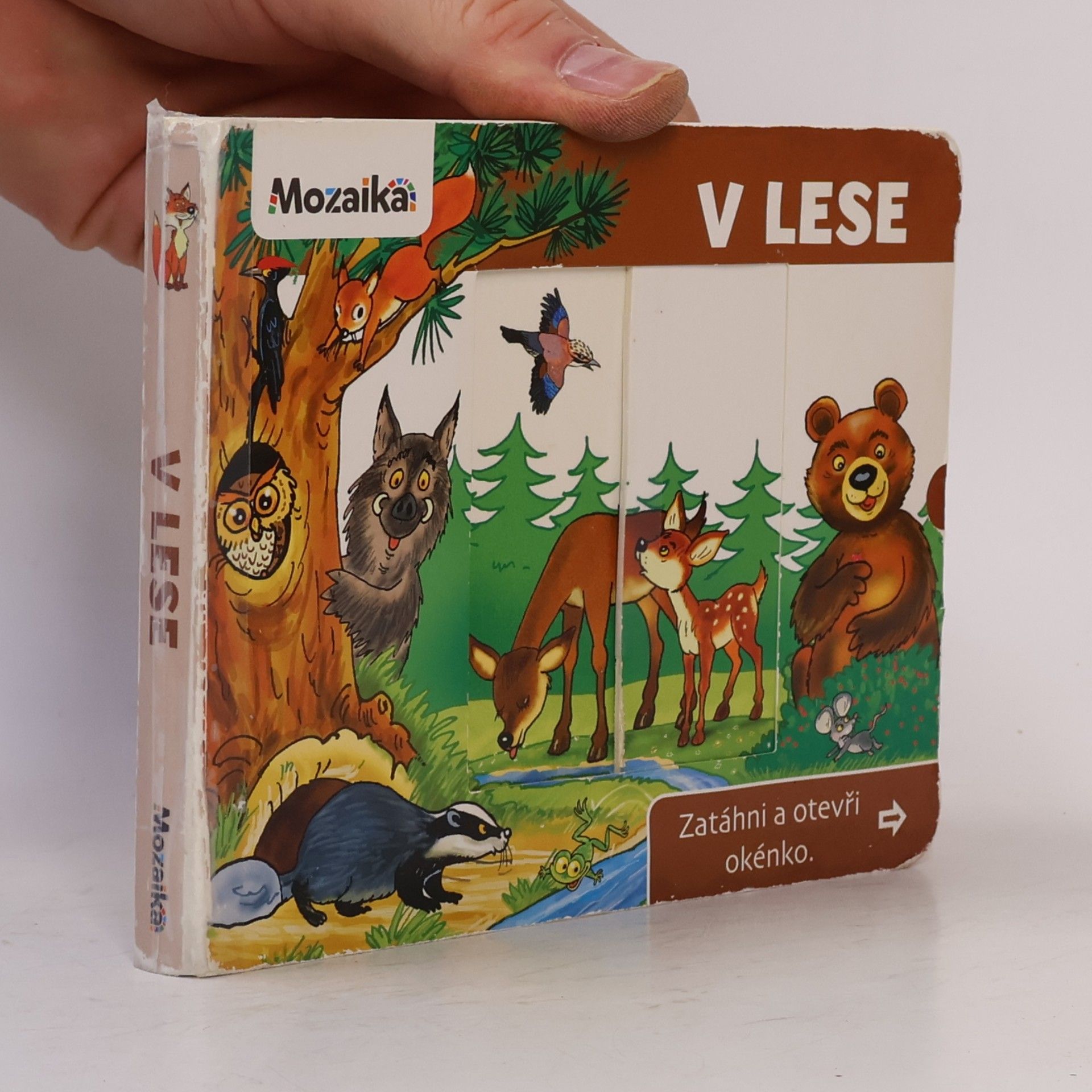 Auteurscollectief V lese