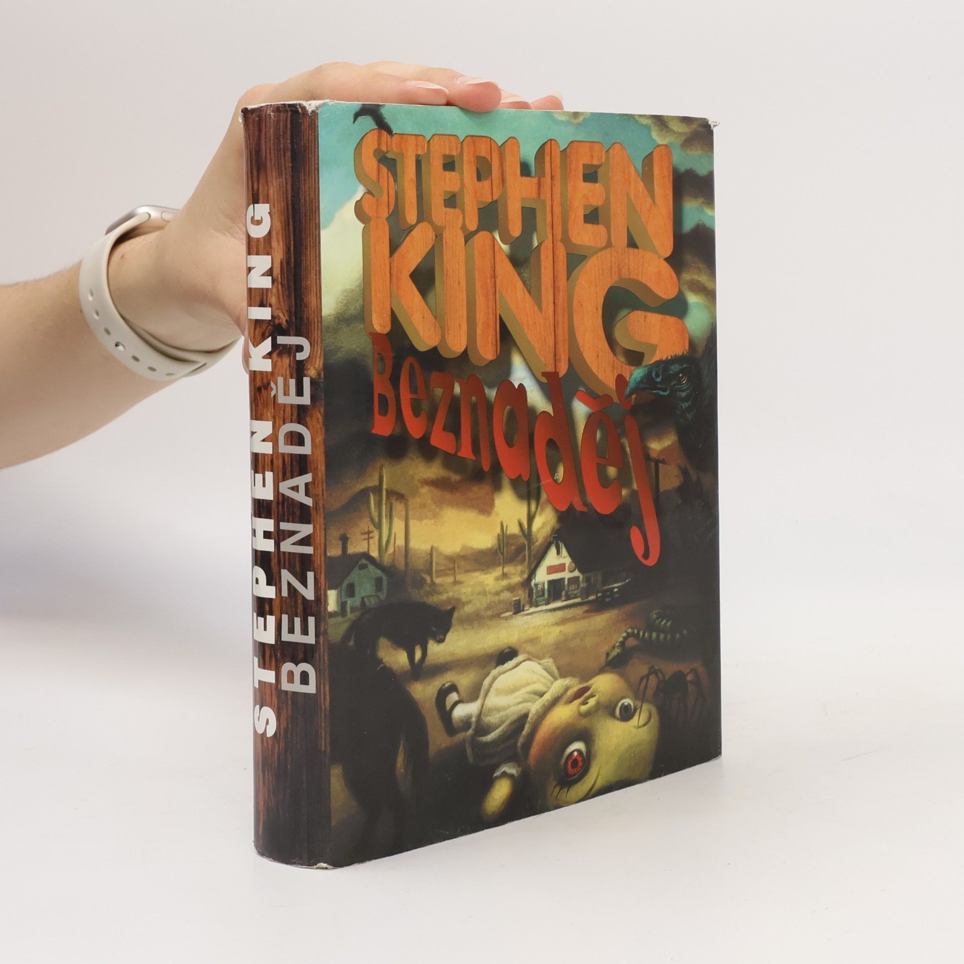 Stephen King Beznaděj