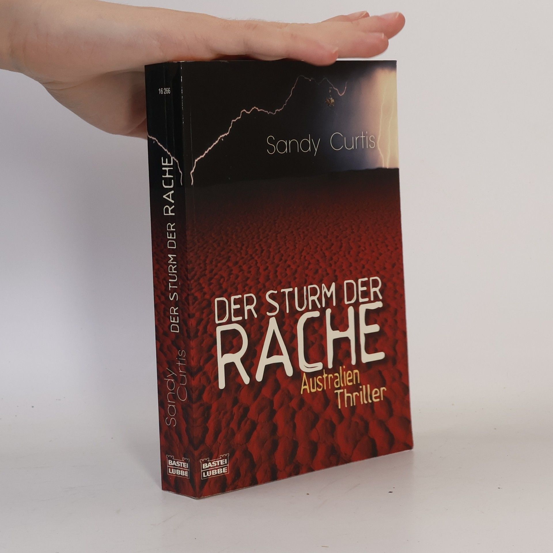 Sandy Curtis Der Sturm der Rache