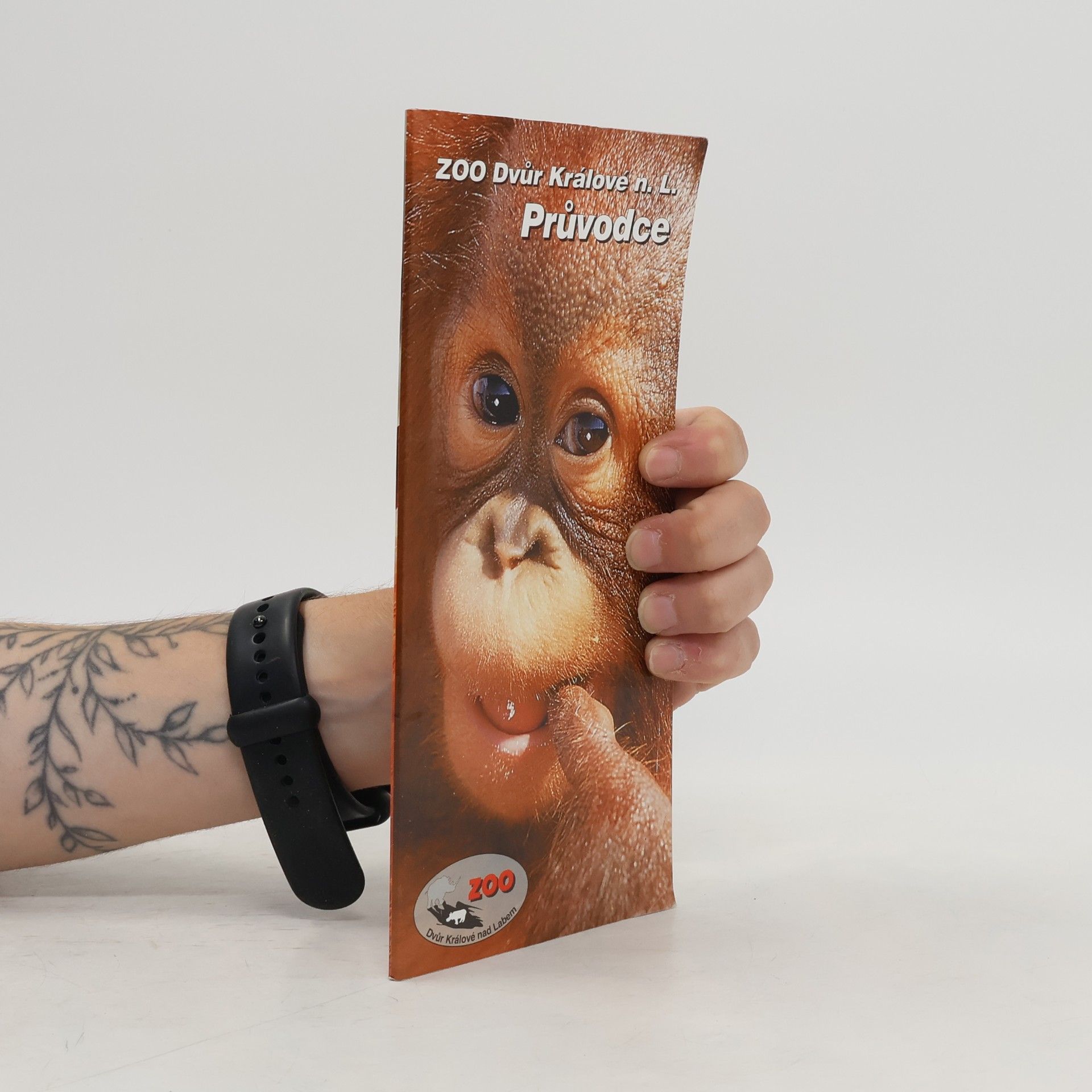 Collectif d'auteurs Průvodce ZOO Dvůr Kralové nad Labem
