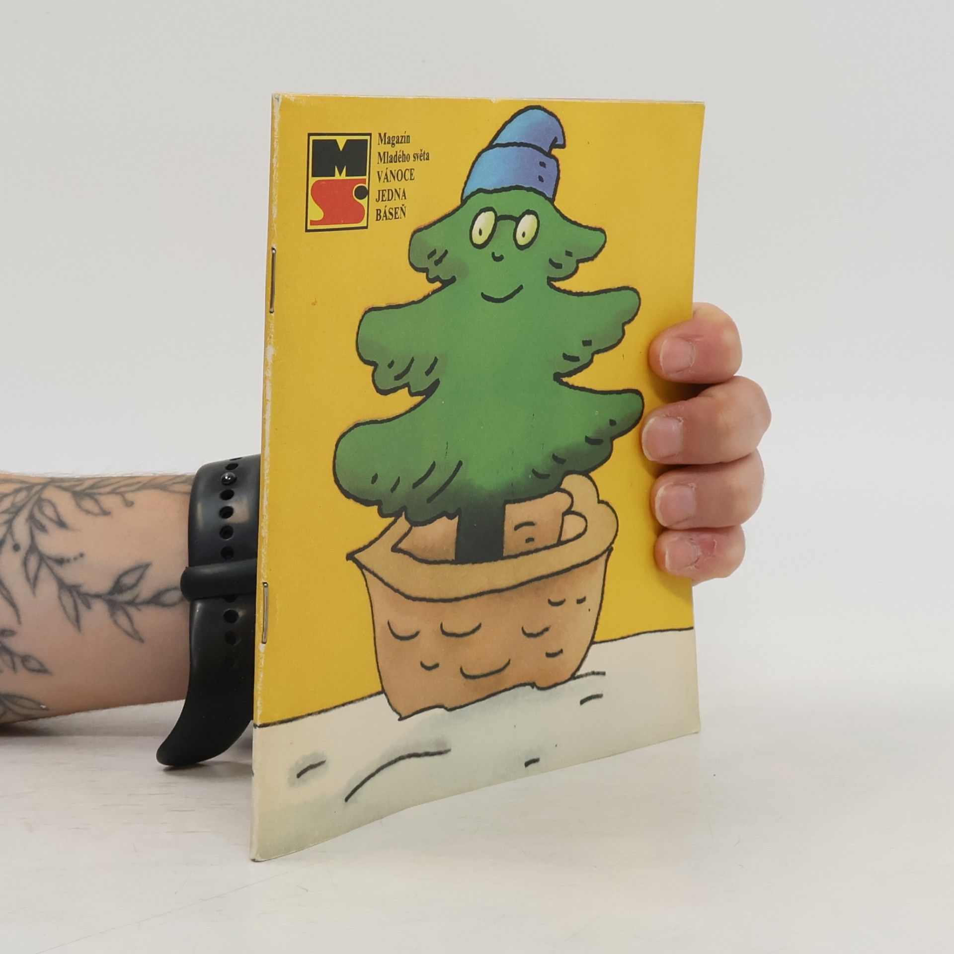 Collectif d'auteurs Magazín mladého světa, Vánoce jedna báseň