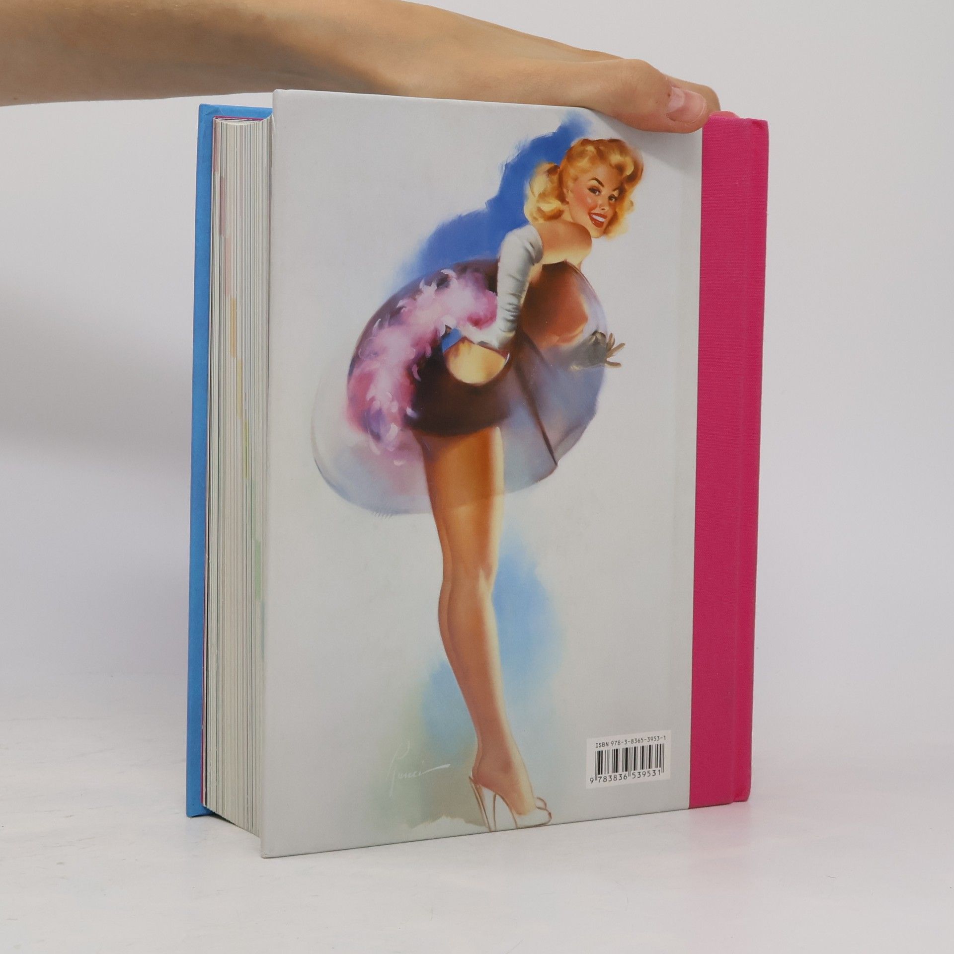 Dian Hanson Day-by-Day: Pin-Up