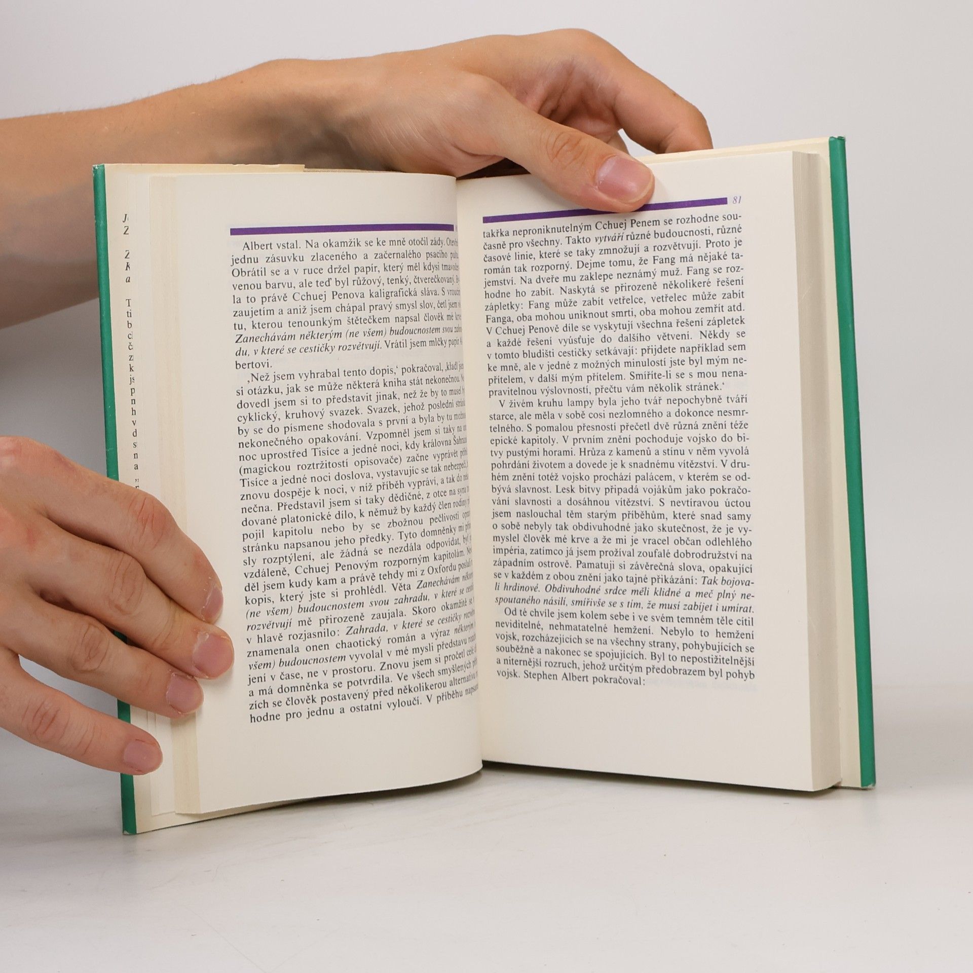 Jorge Luis Borges Zrcadlo a maska