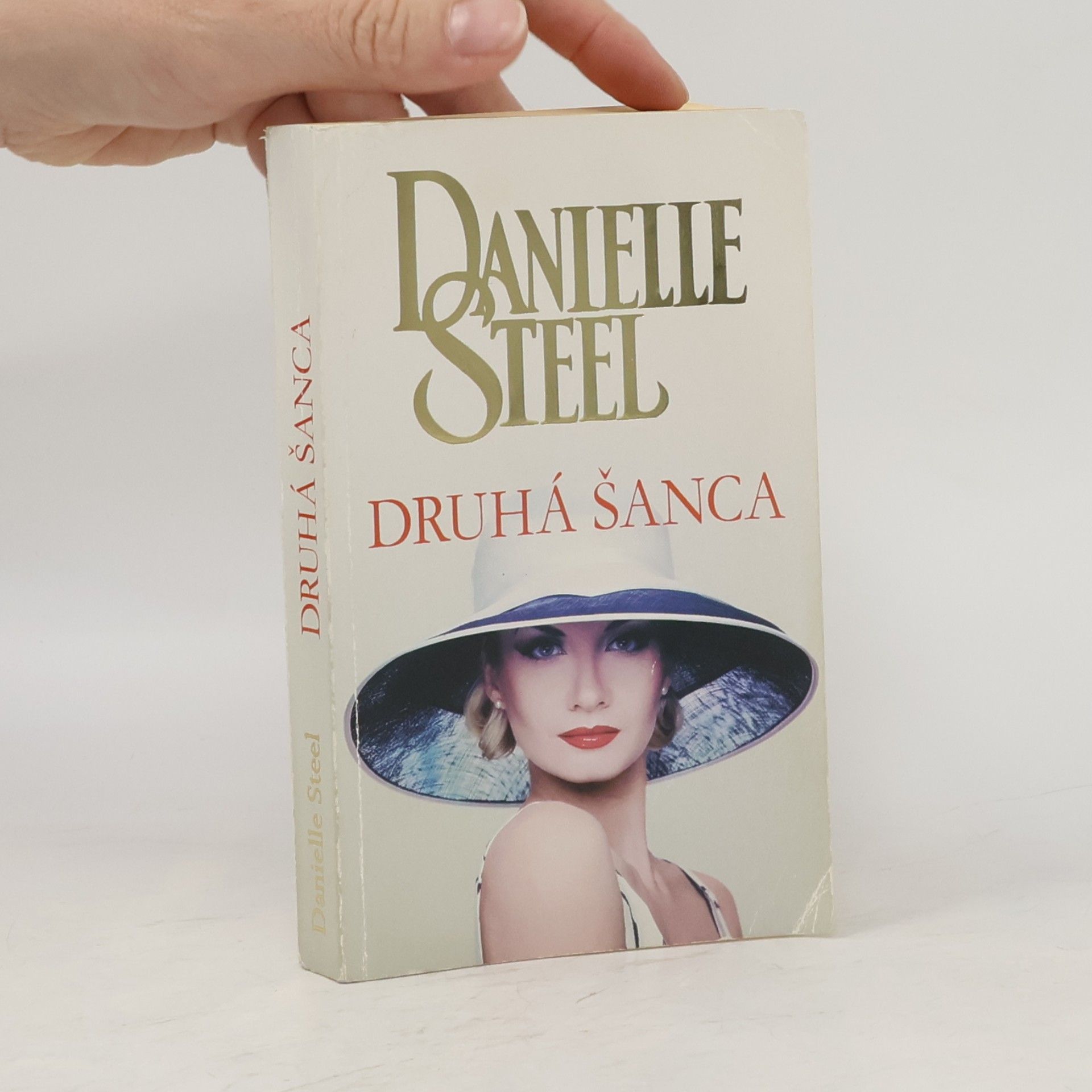 Danielle Steel Druhá šanca