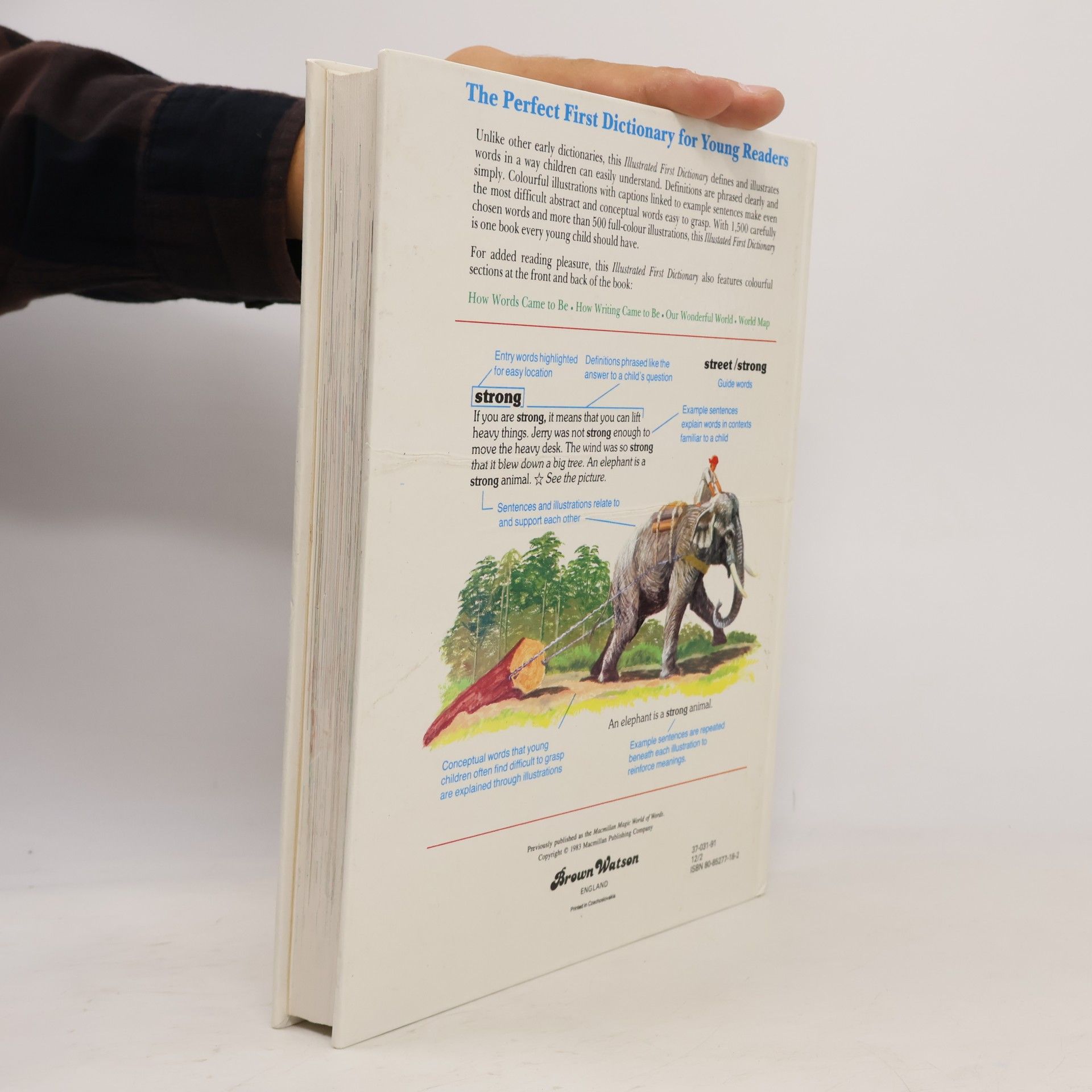 Autorenkollektiv Illustrated First Dictionary