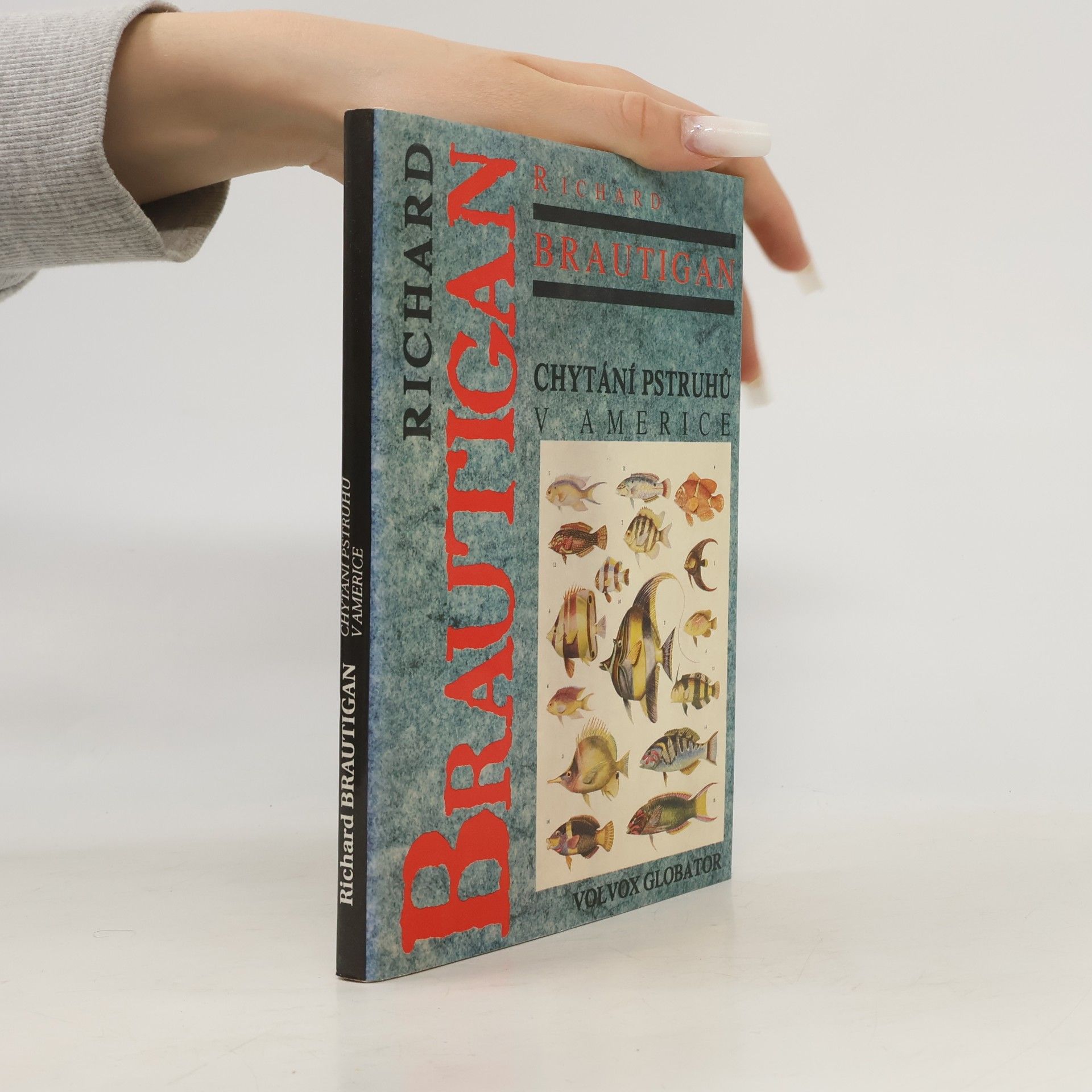 Richard Brautigan Chytání pstruhů v Americe