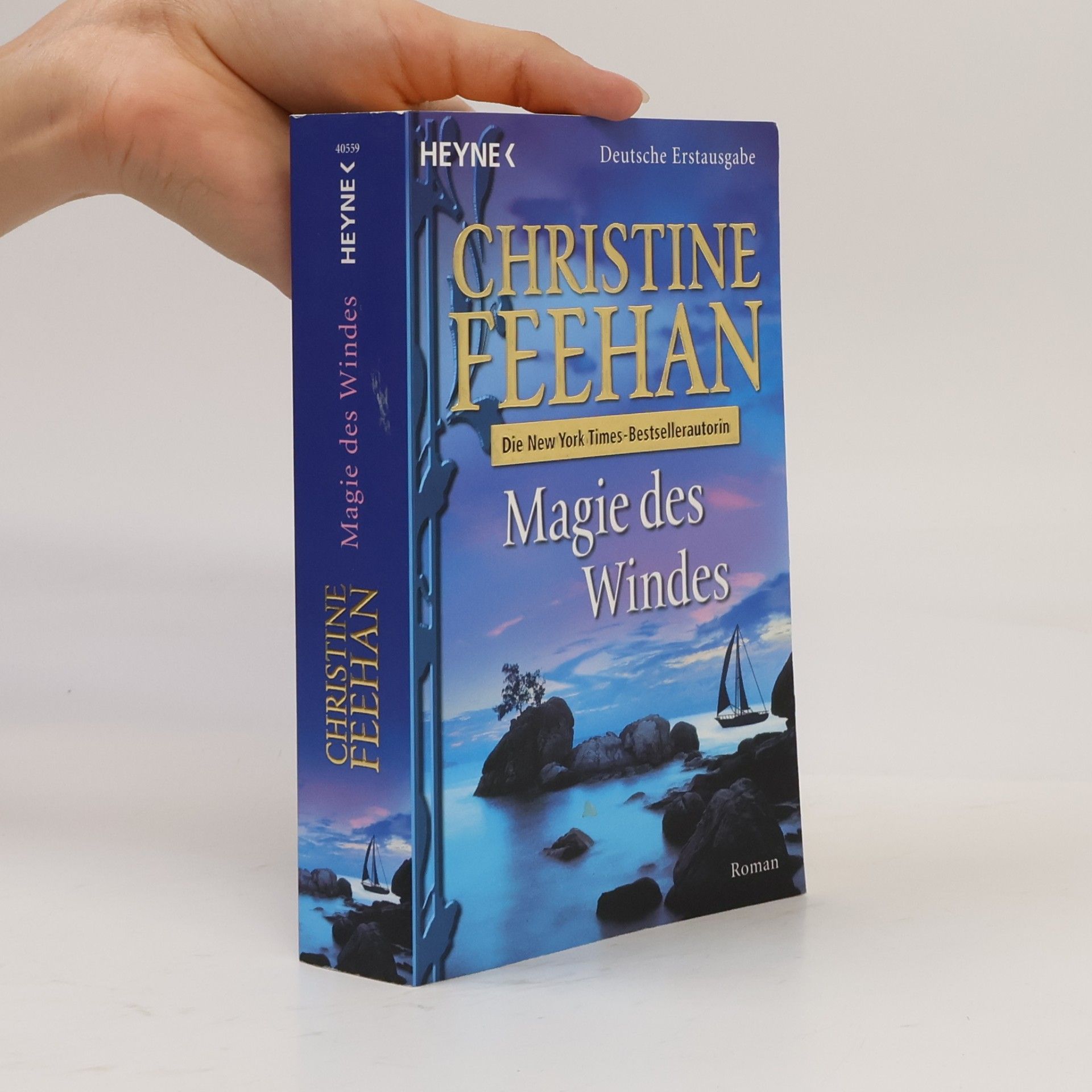 Christine Feehan Magie des Windes
