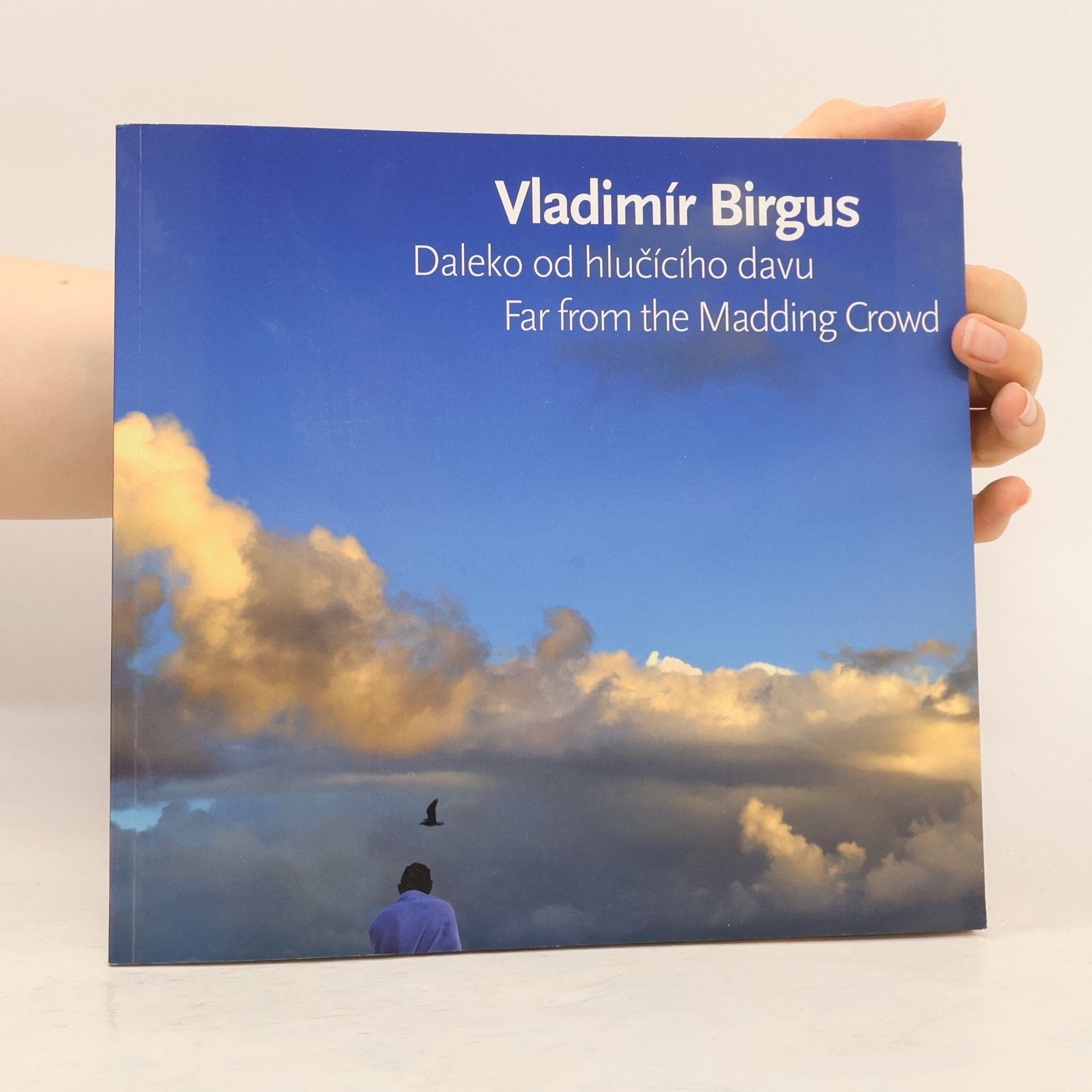 AA.VV. Vladimír Birgus : daleko od hlučícího davu = Far from the madding crowd