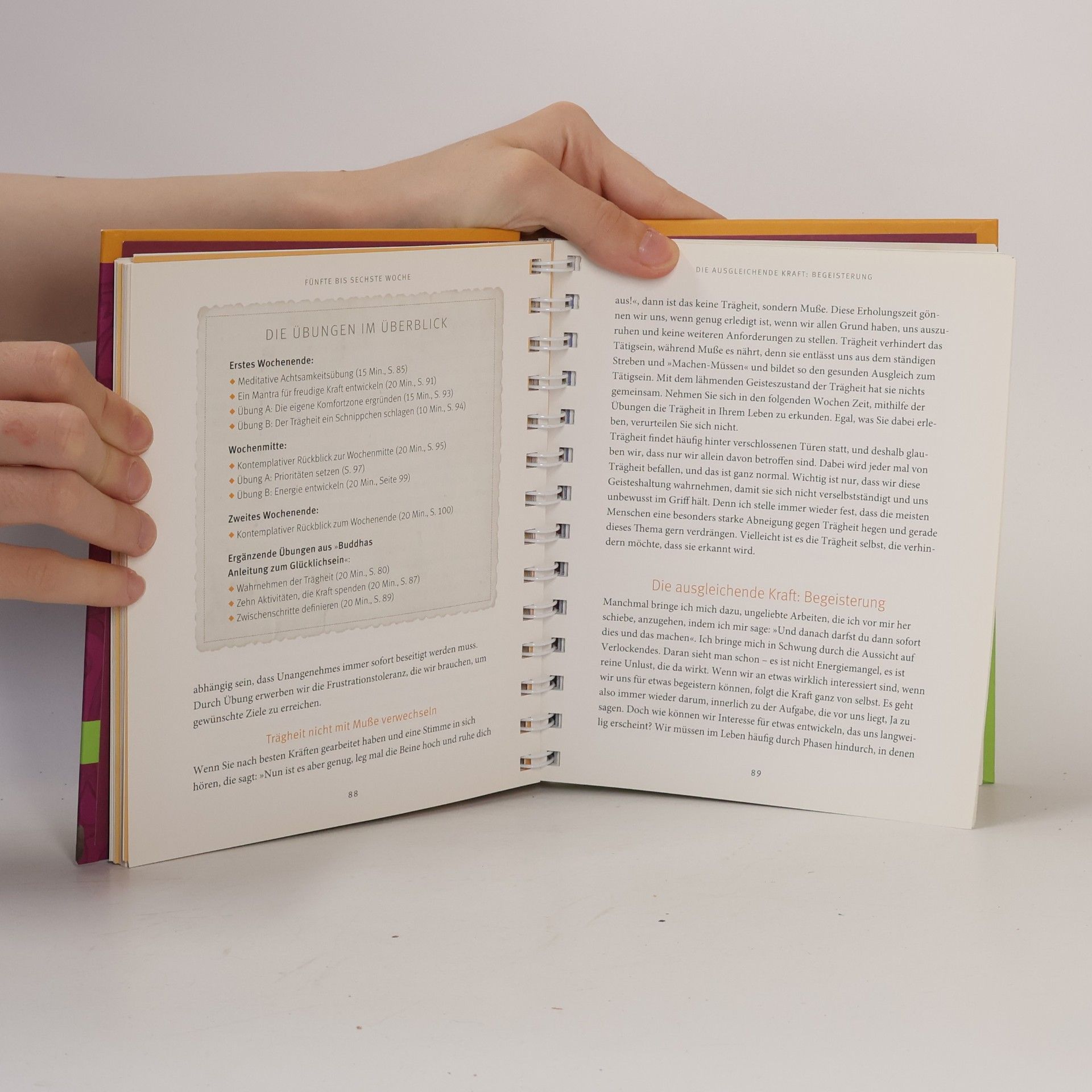 Marie Mannschaltz Buddhas Anleitung zum Glücklichsein - Das Übungsbuch