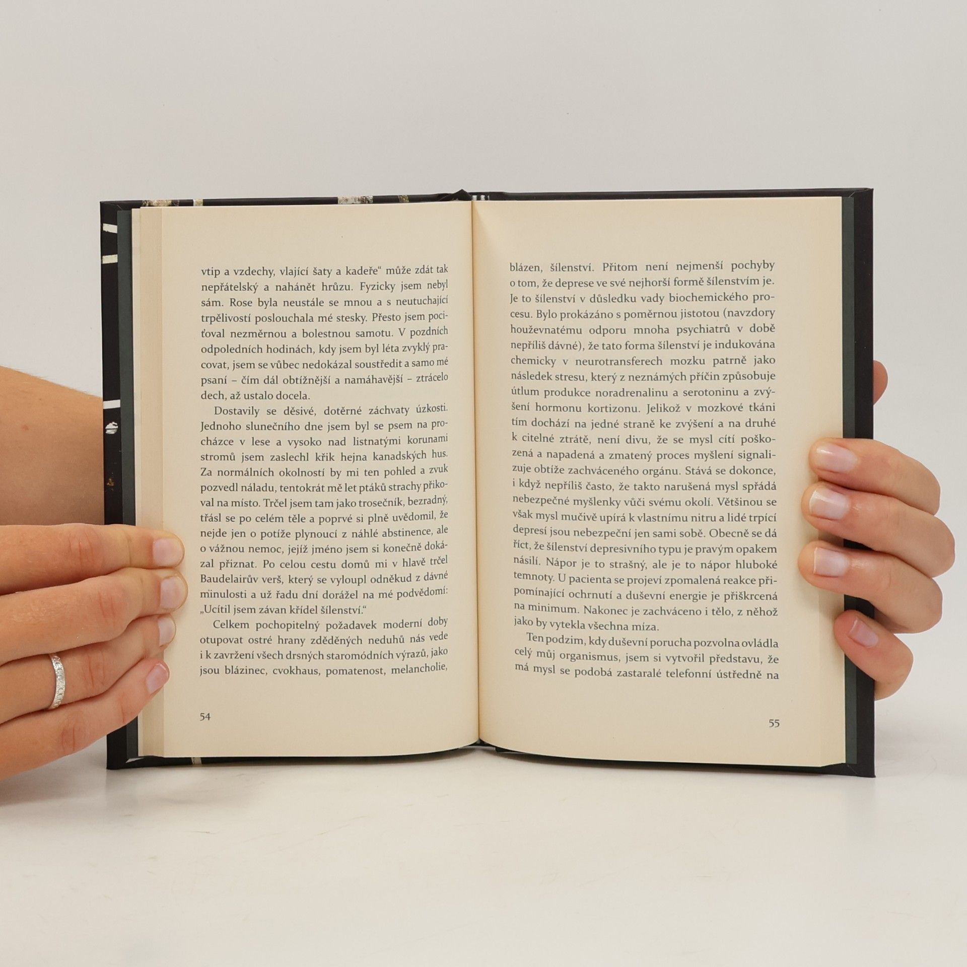 William Styron Viditelná temnota: Paměti šílenství