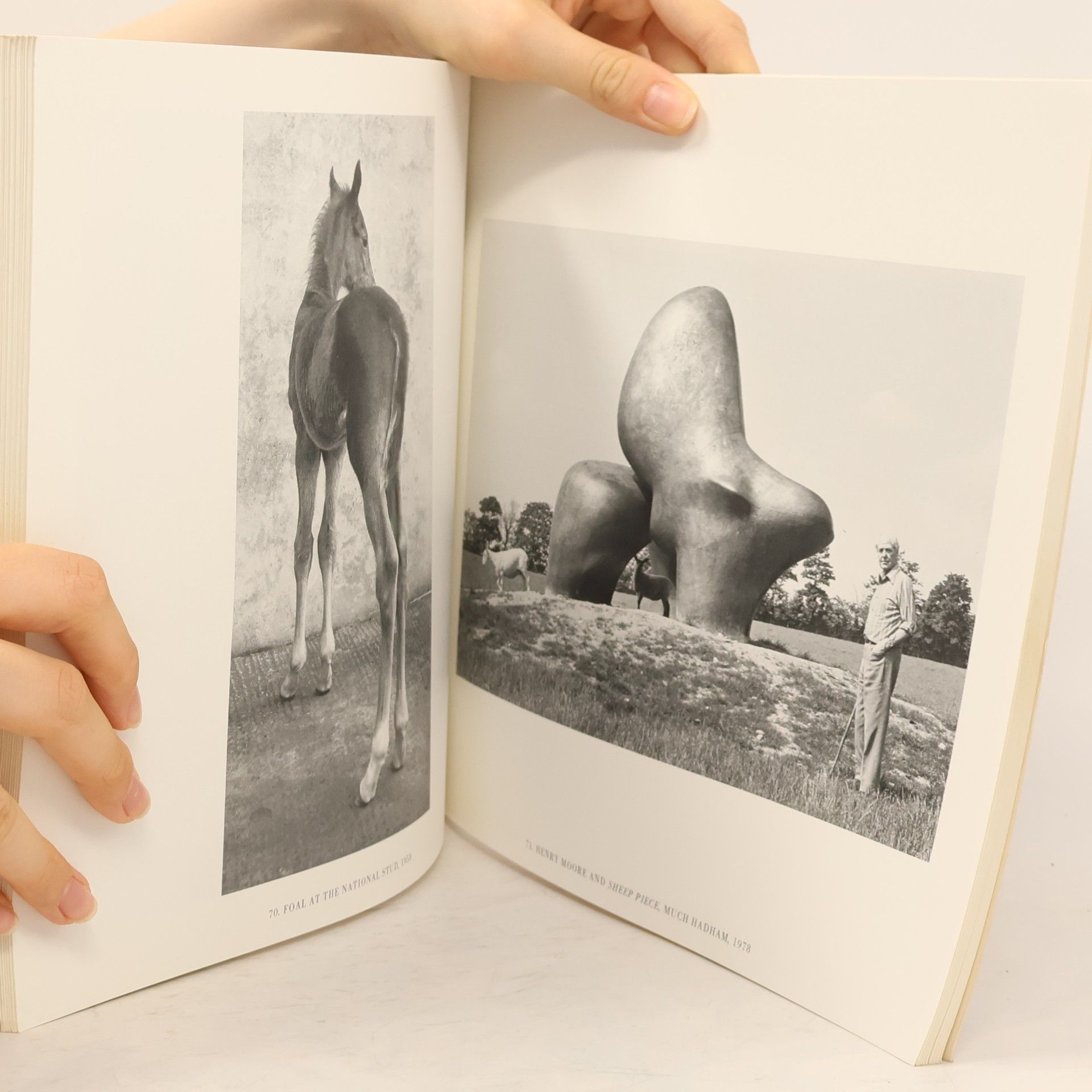 Jane Bown The Gentle Eye