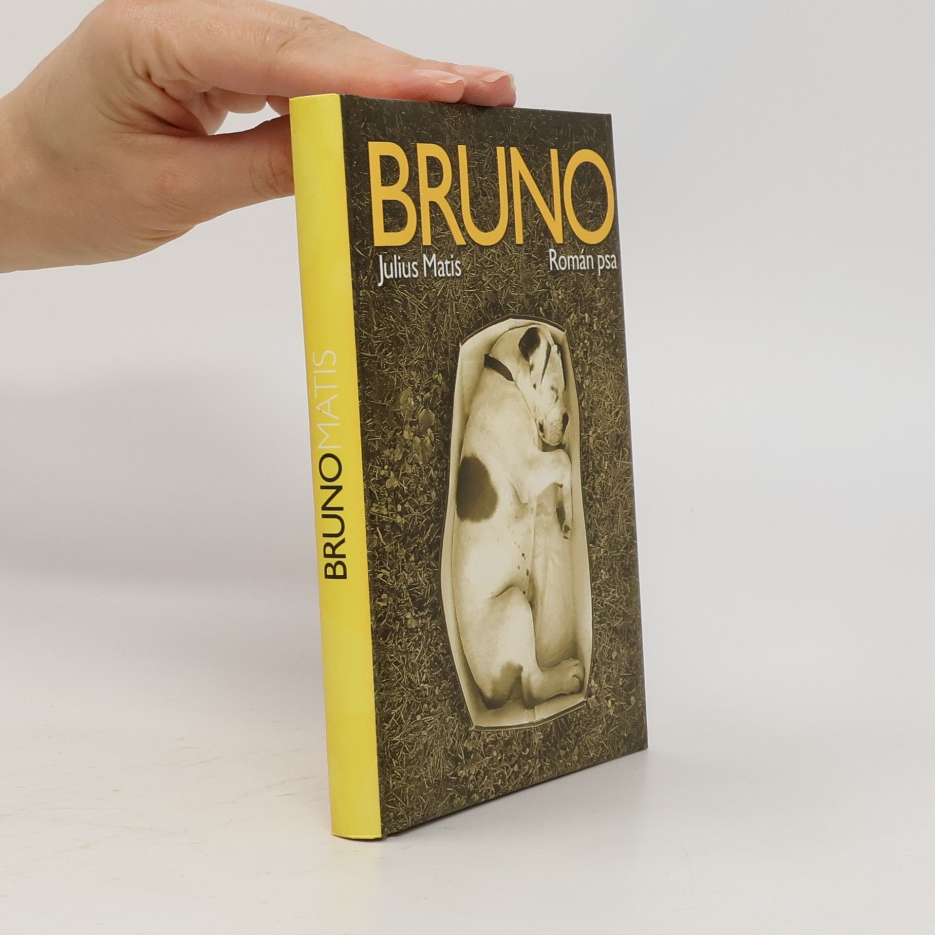 Julius Matis Bruno