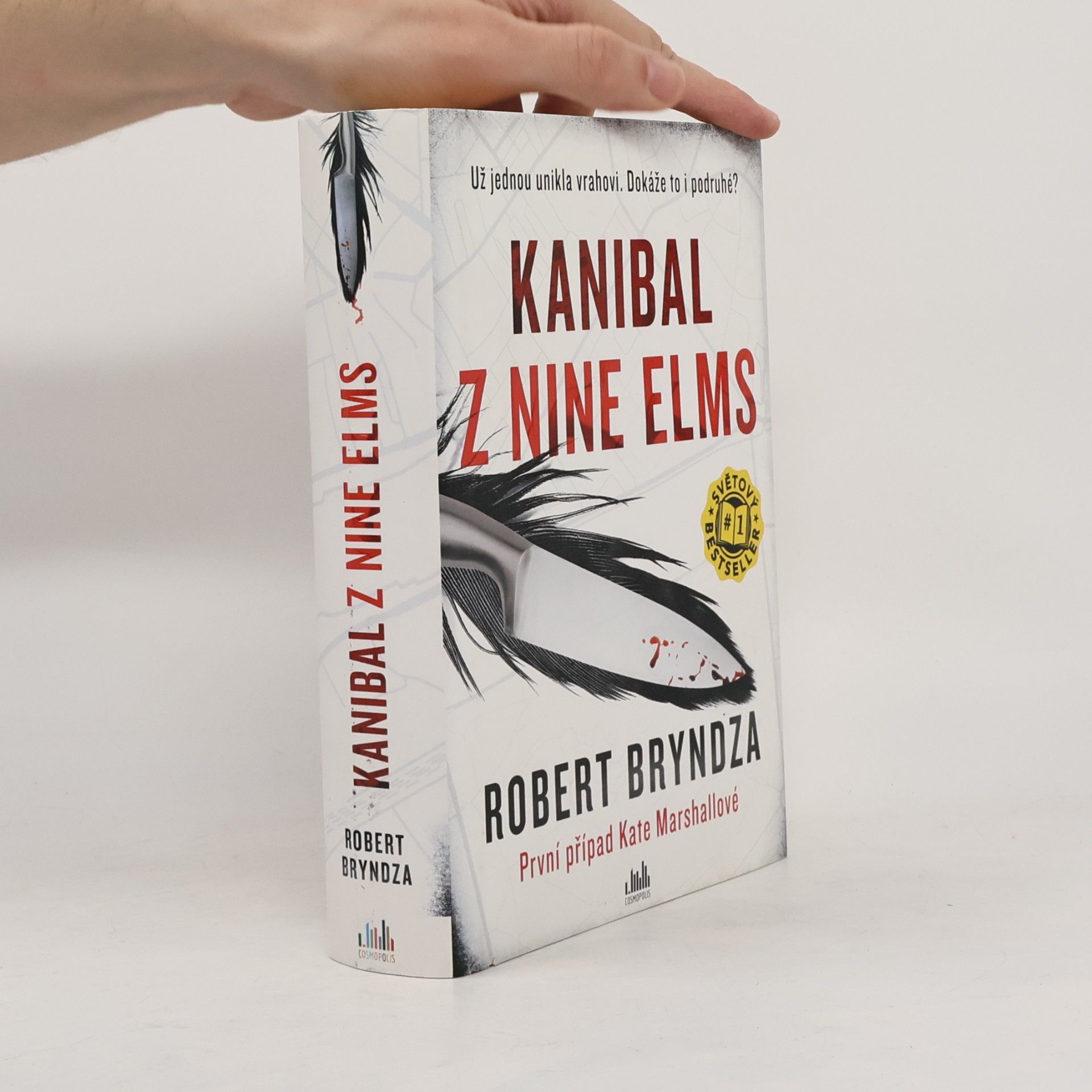 Robert Bryndza Kanibal z Nine Elms
