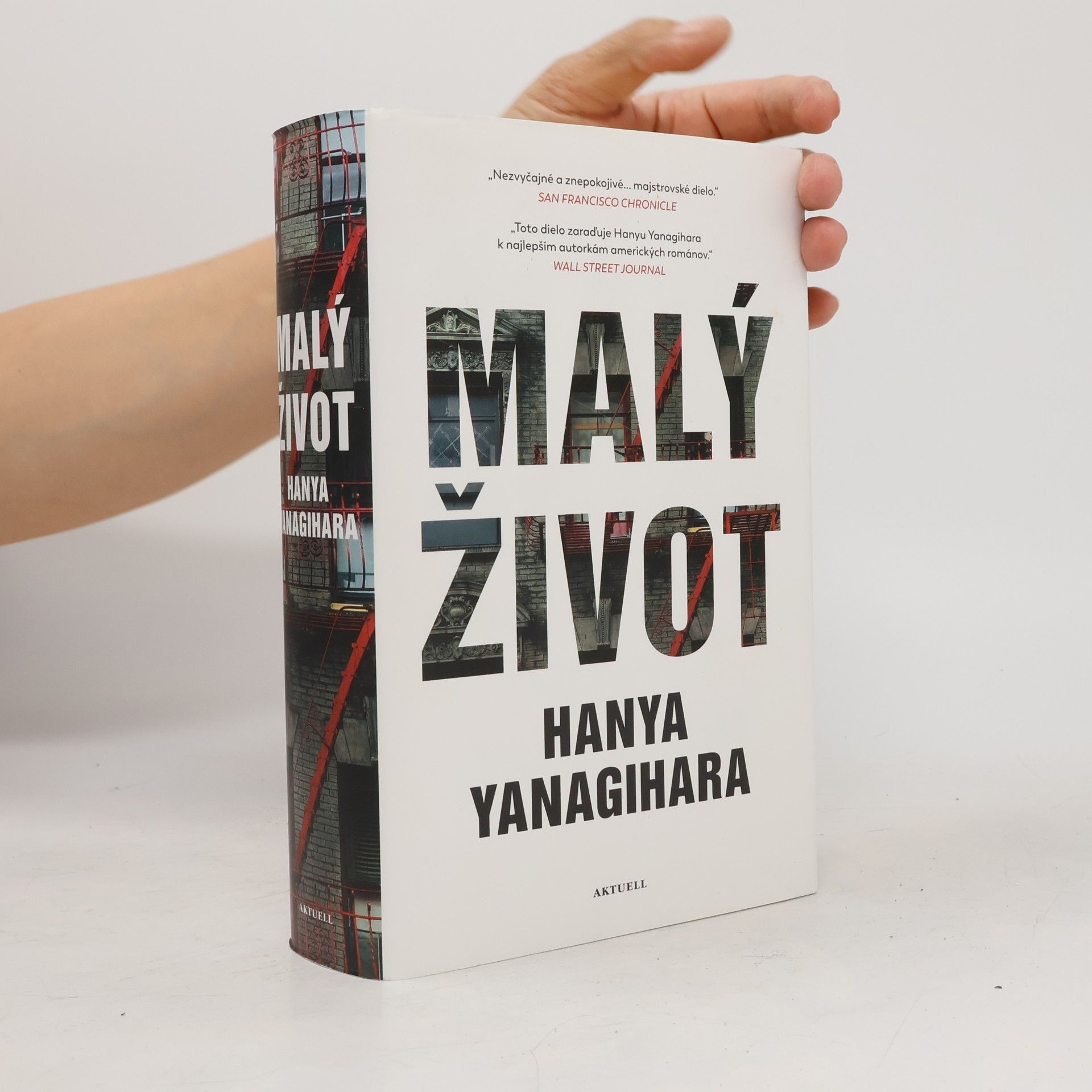 Hanya Yanagihara Malý život
