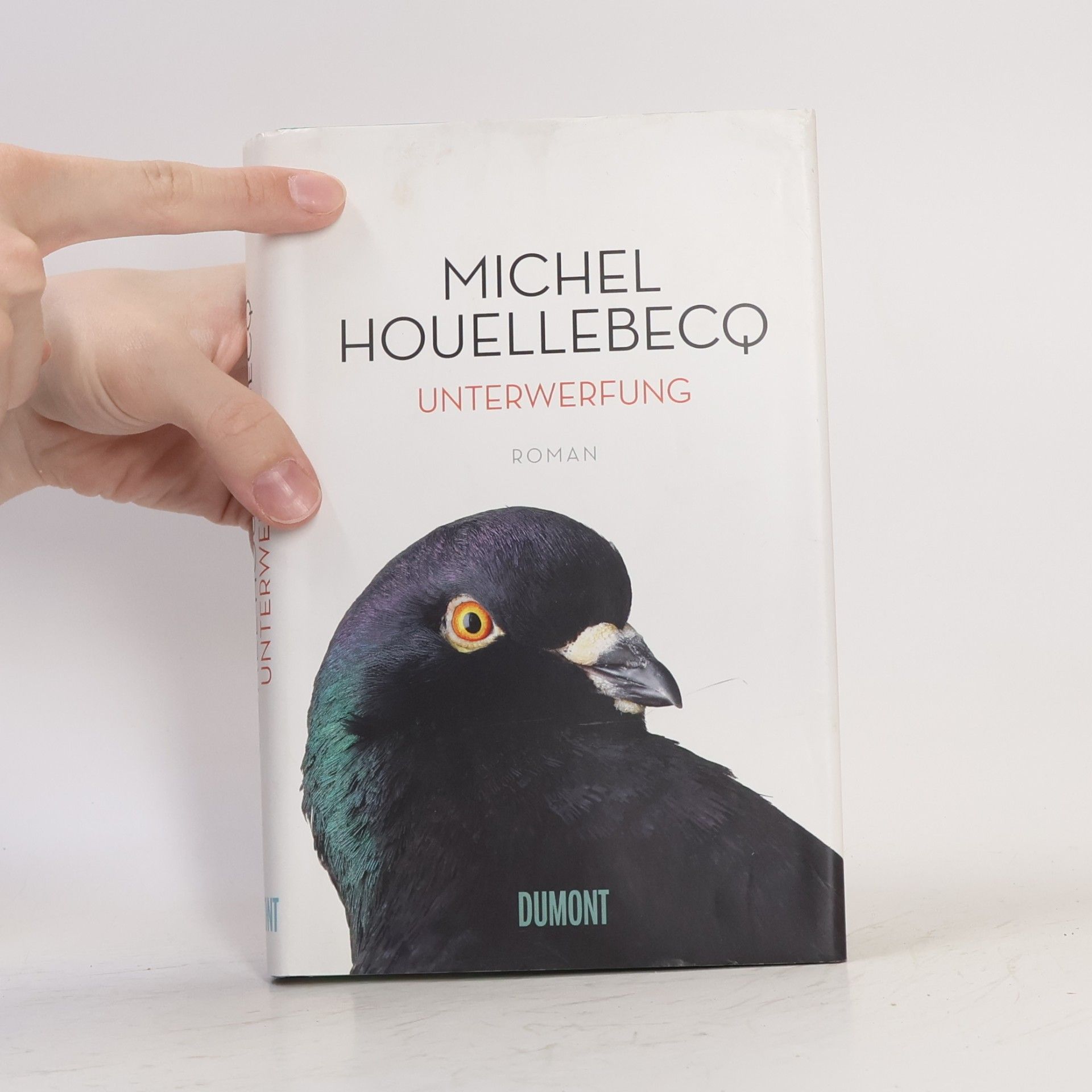 Michel Houellebecq Unterwerfung