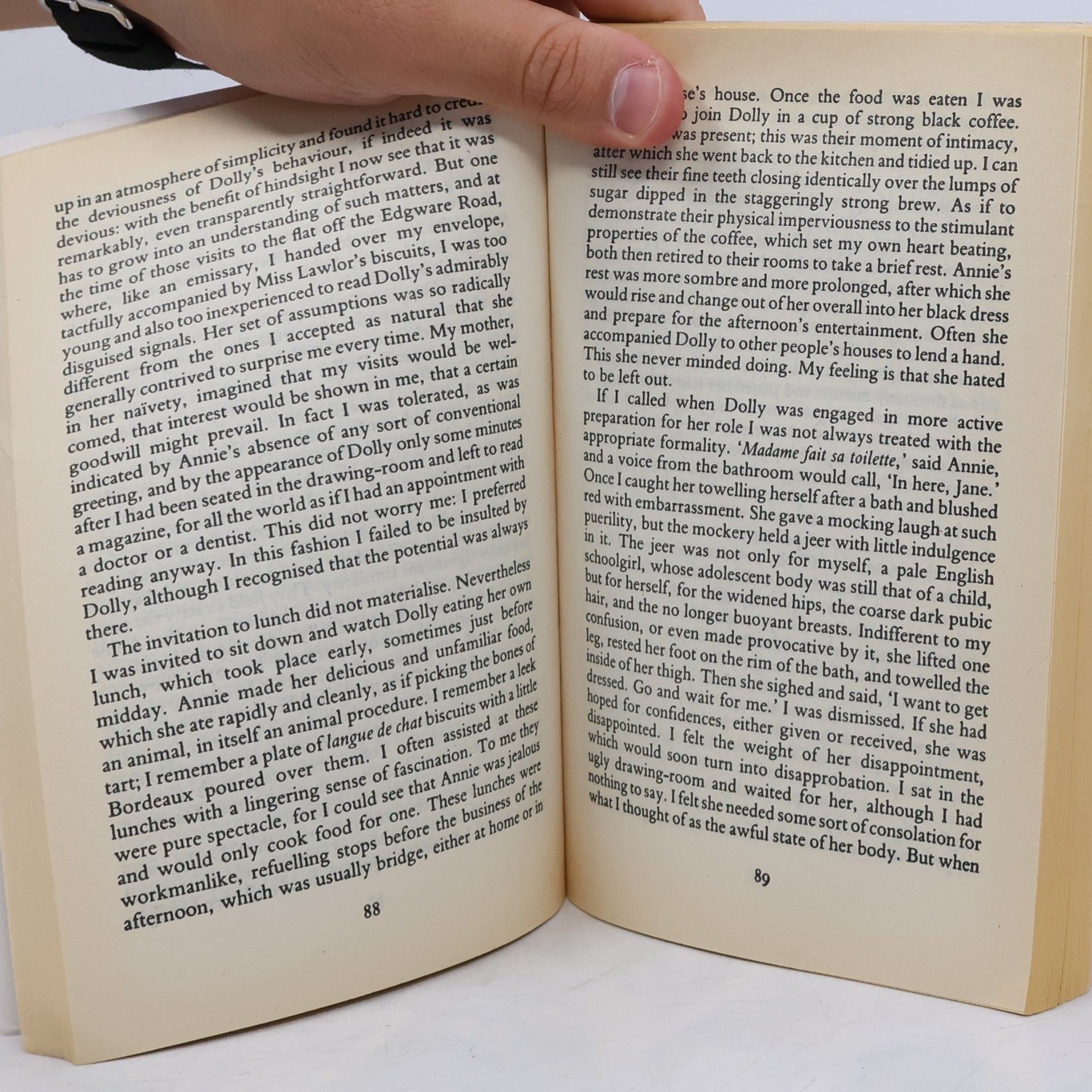 Anita Brookner A Family Romance