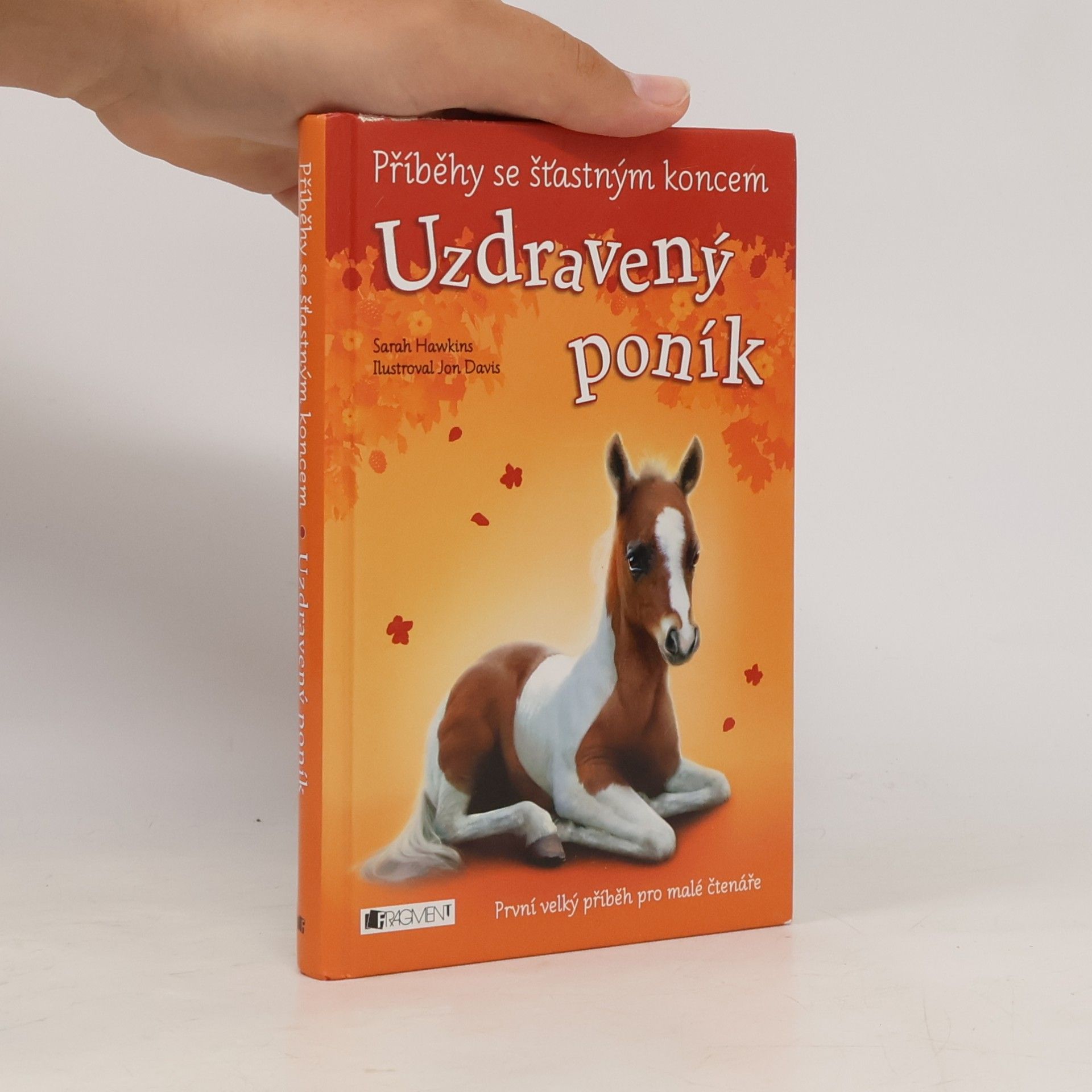 Eva Brožová Uzdravený poník